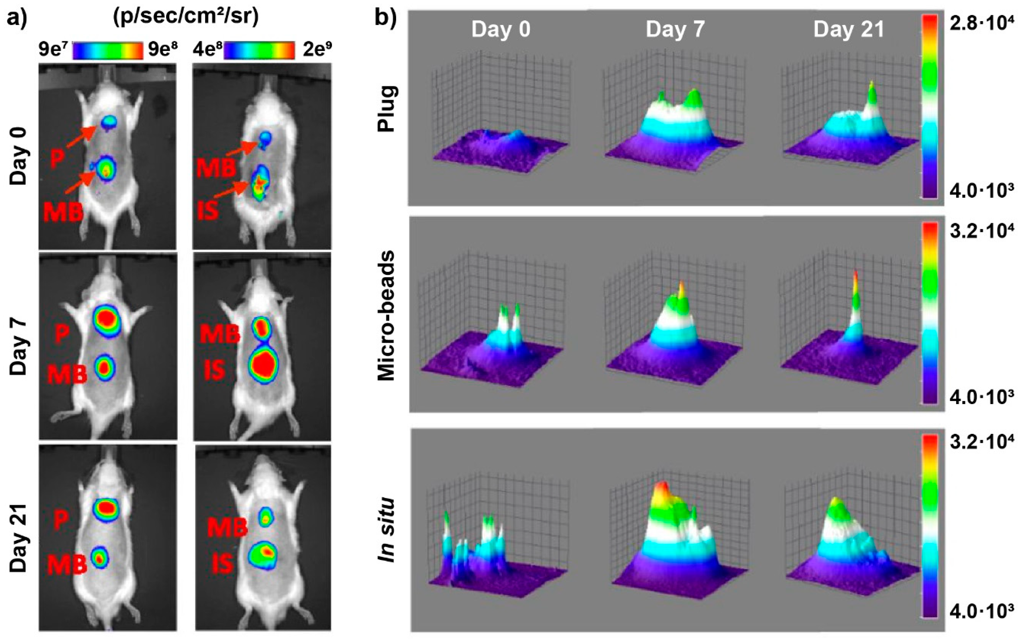 Molecules 25 00579 g020