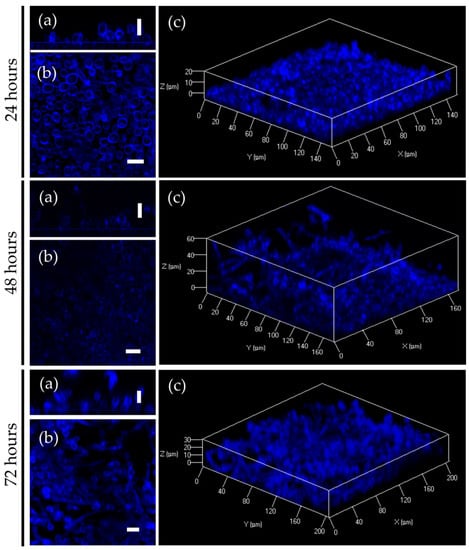 Molecules Free Full Text Increasing Susceptibility Of Drug