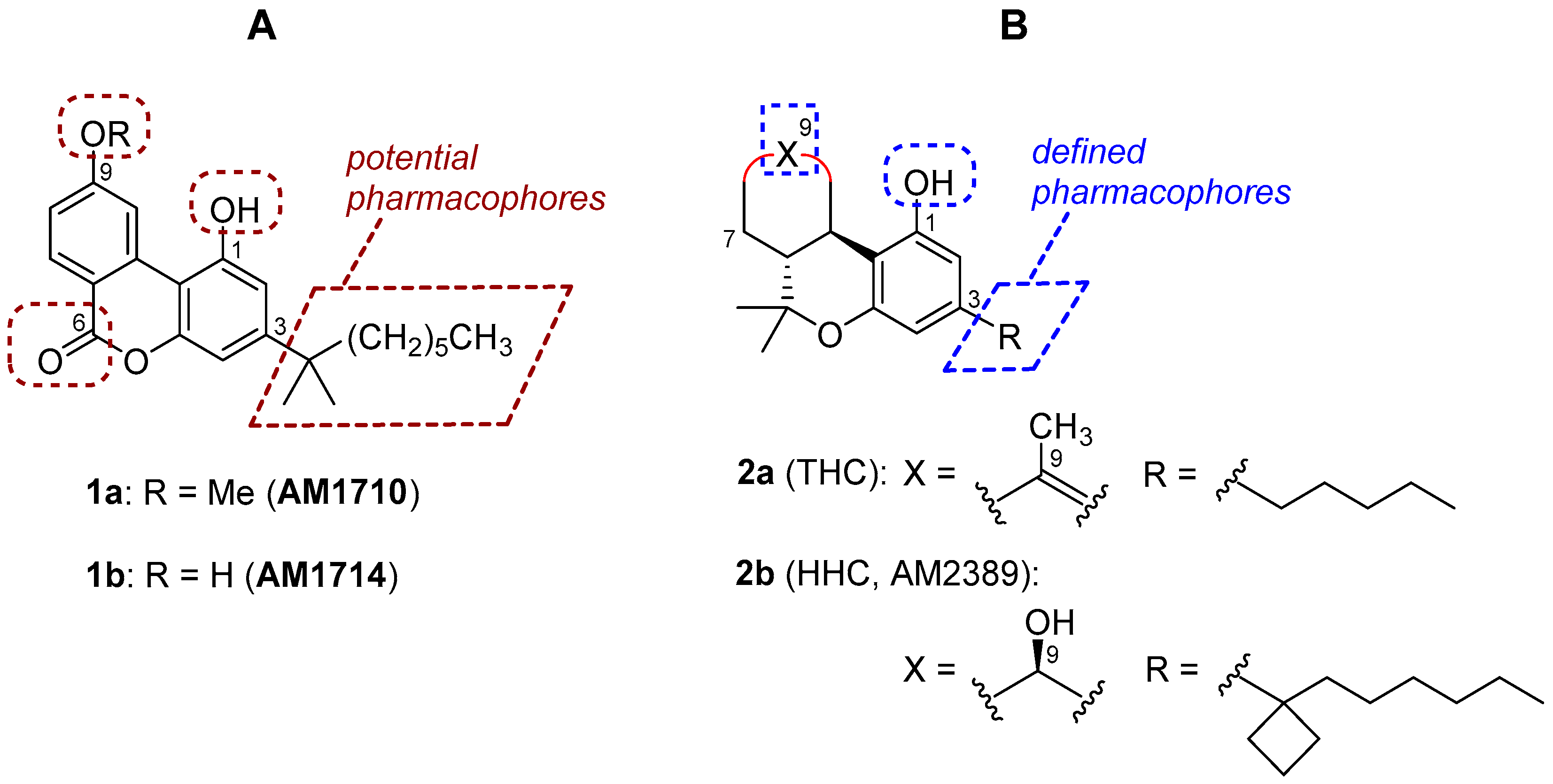 Molecules 25 00684 g001