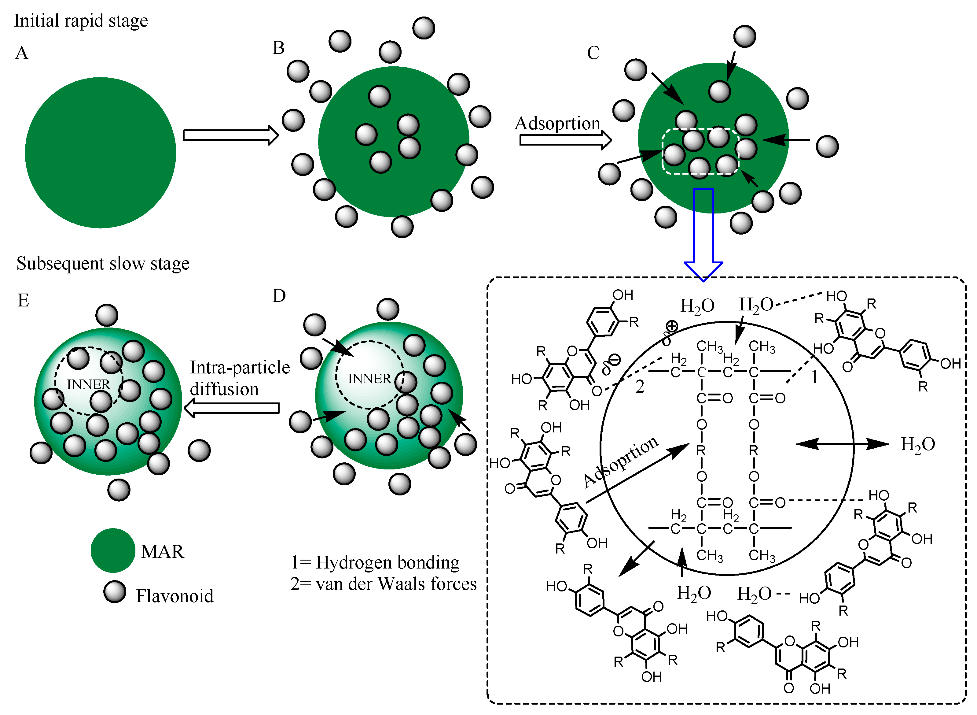 Molecules 25 00778 g002 Molecules 25 00778 g002