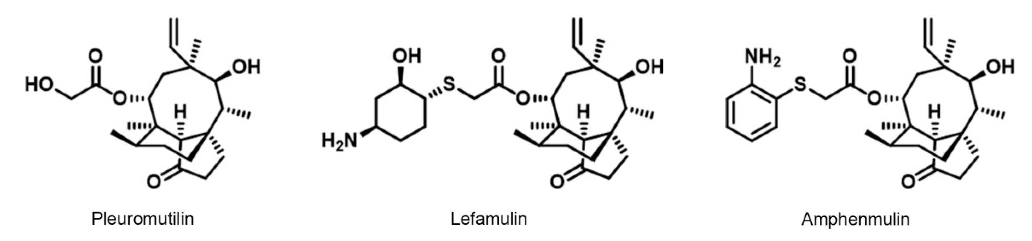 Molecules 25 00878 g001 Molecules 25 00878 g001