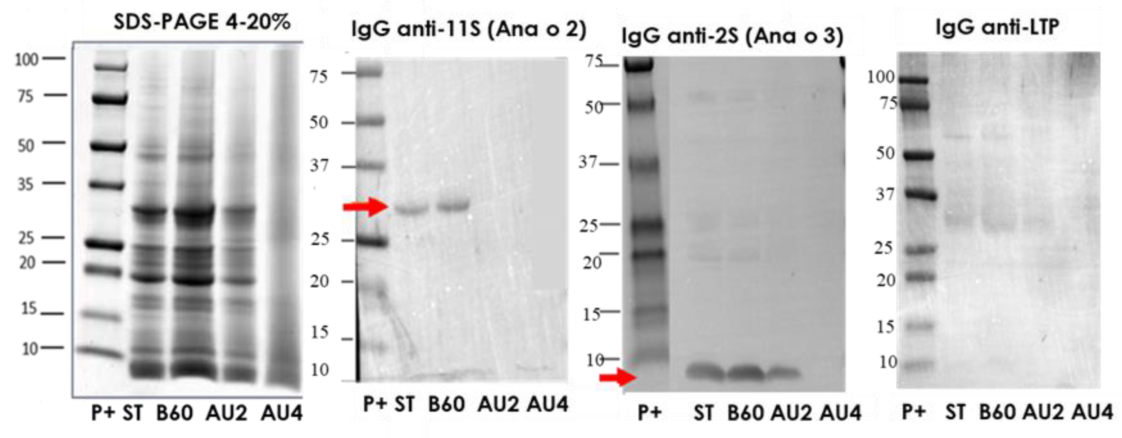 Molecules 25 00954 g001