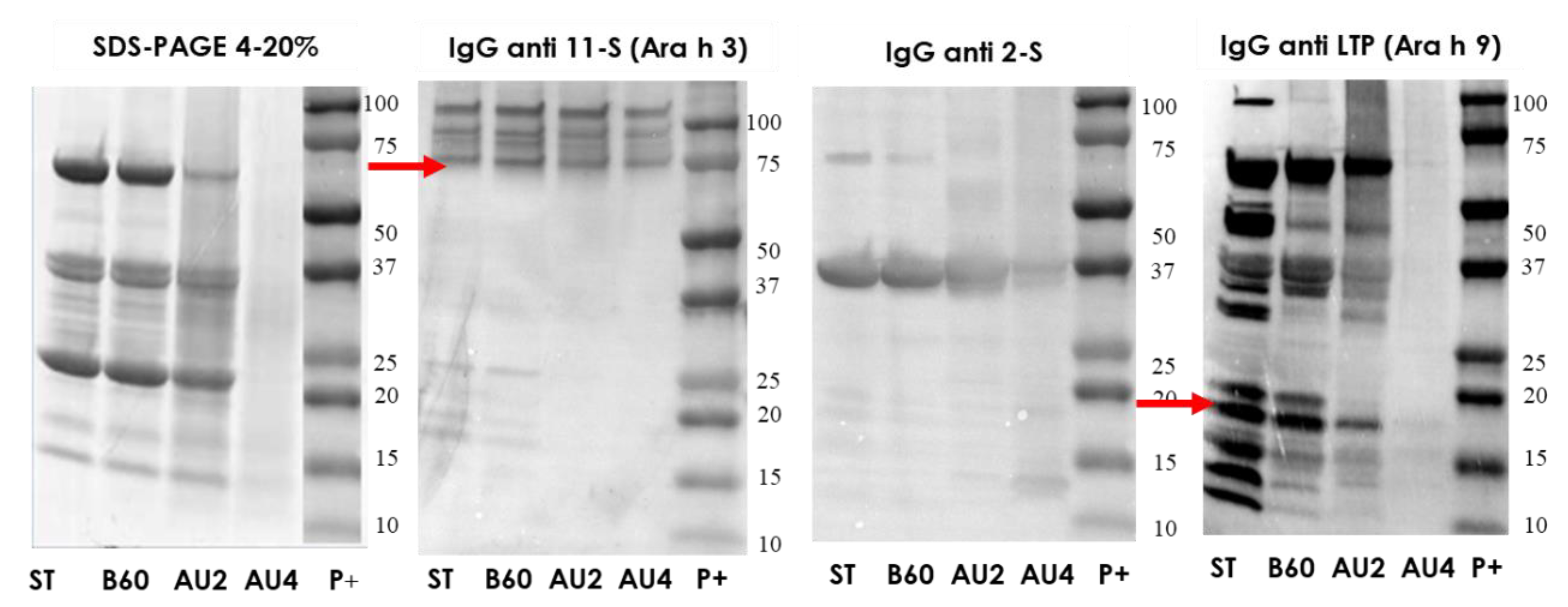 Molecules 25 00954 g003
