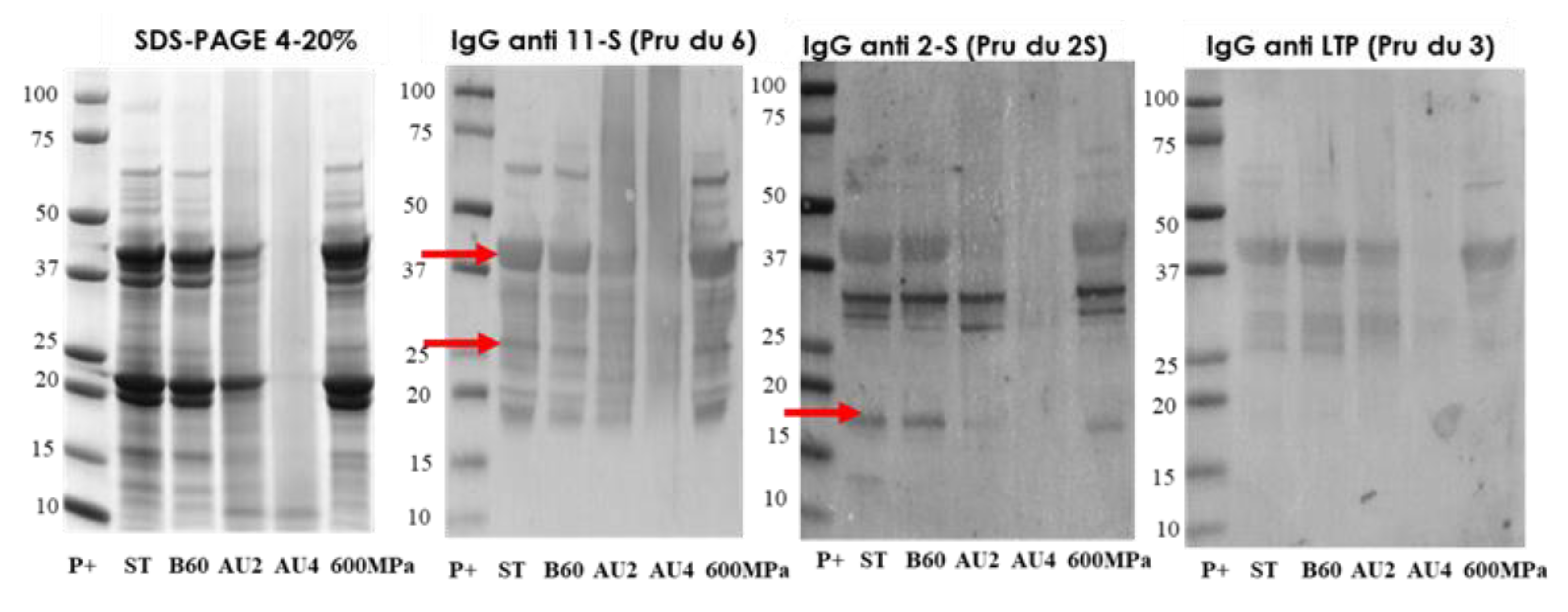 Molecules 25 00954 g005
