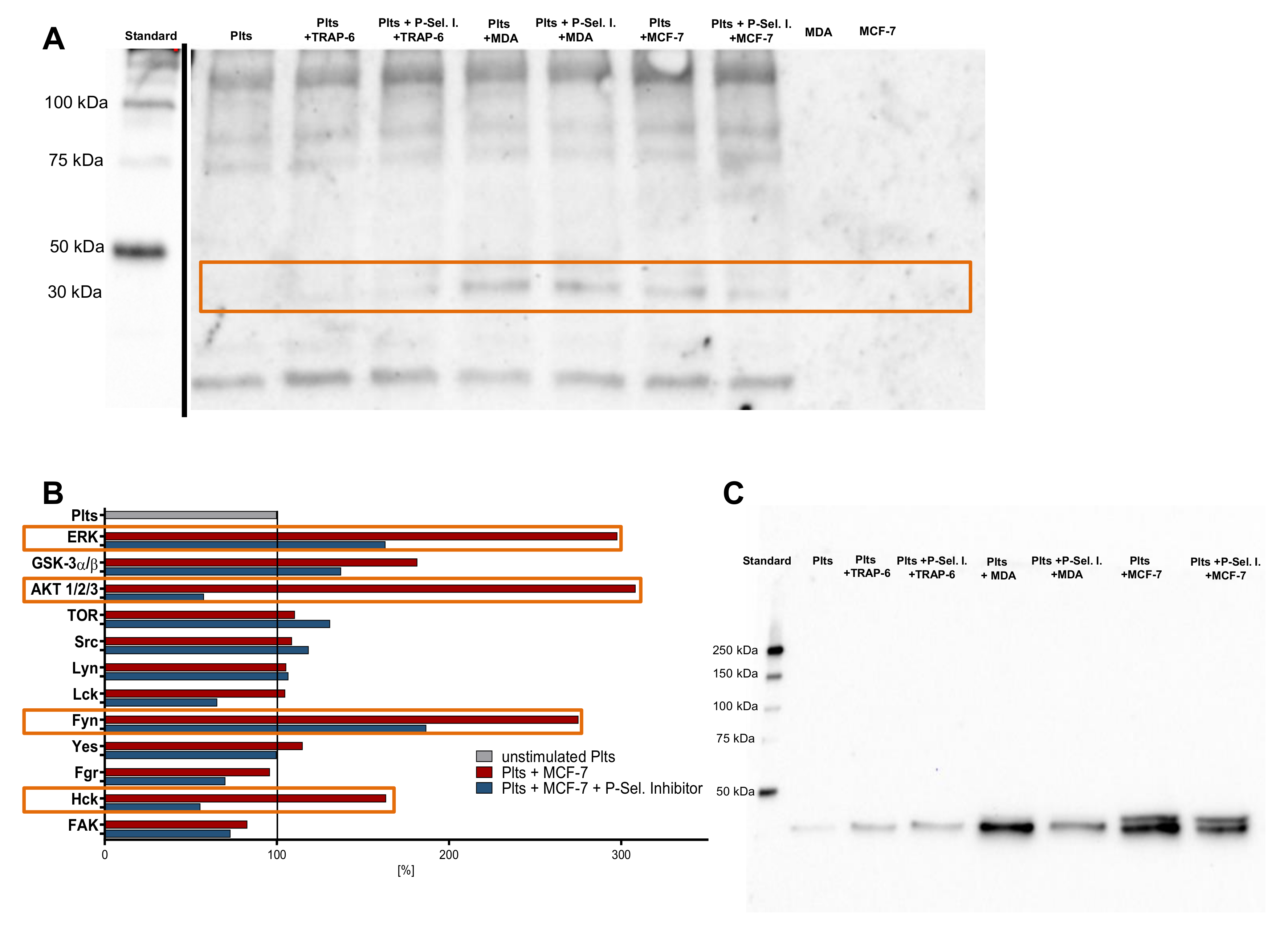 Molecules 25 01039 g005