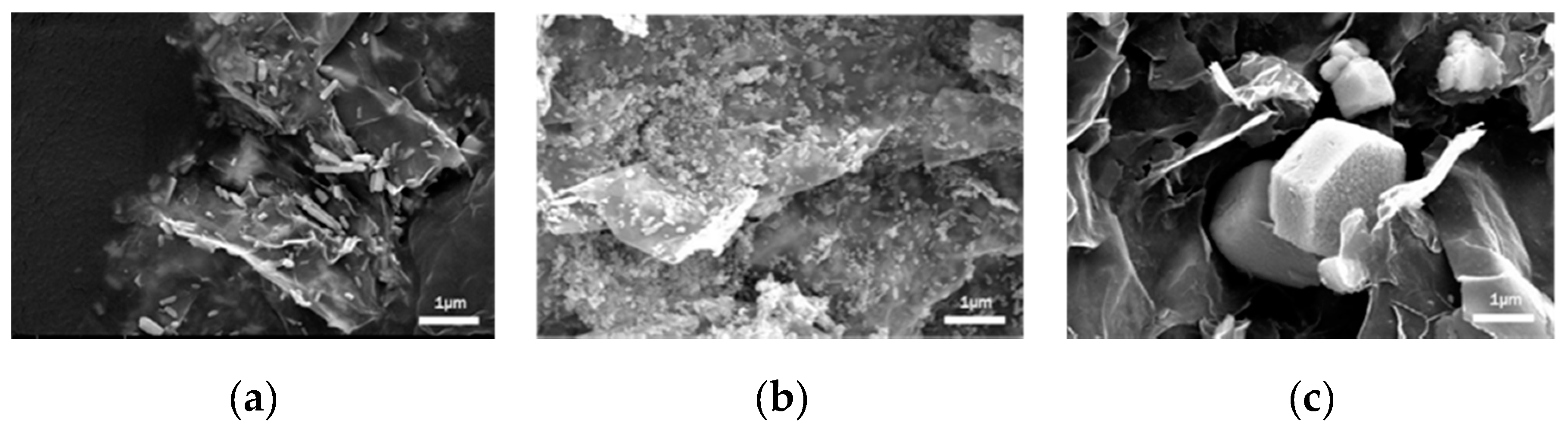 Molecules 25 01043 g001