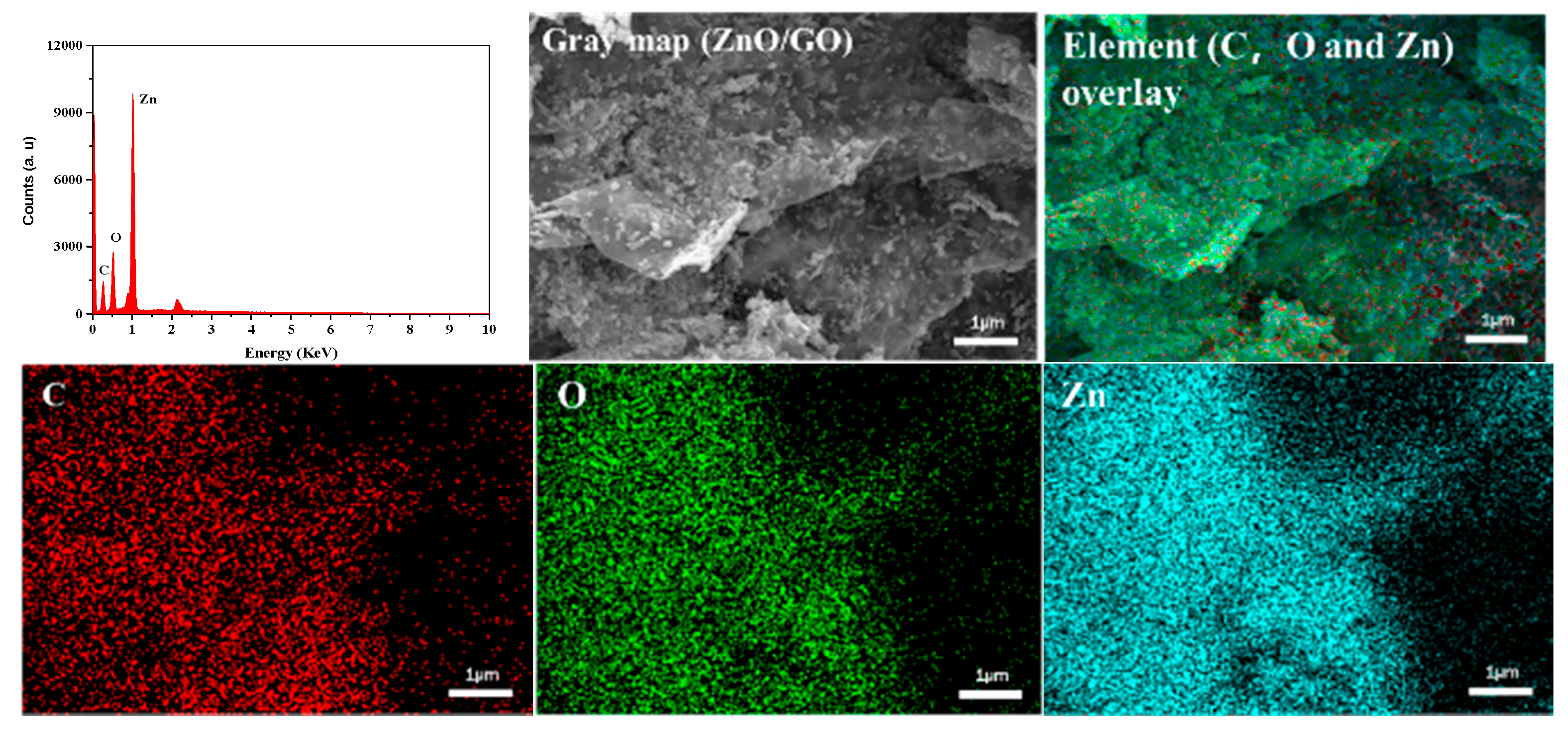 Molecules 25 01043 g002