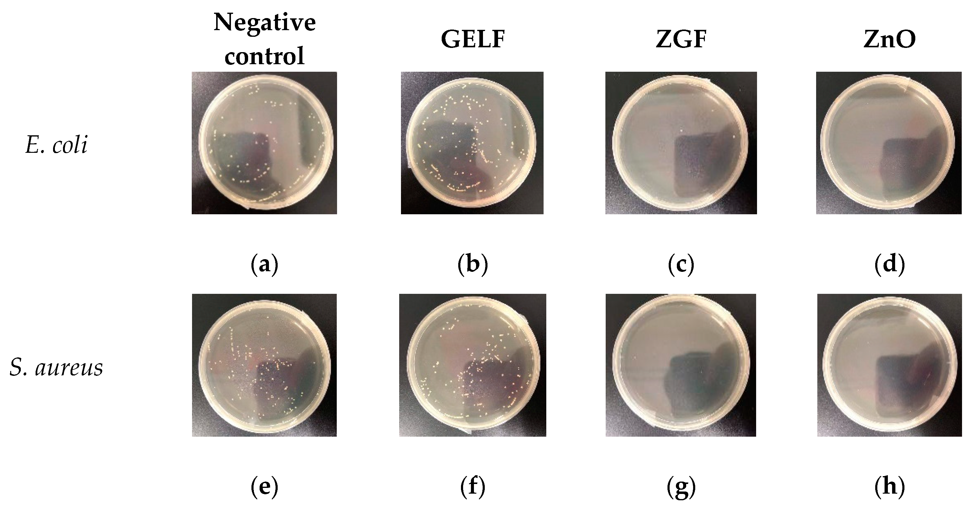 Molecules 25 01043 g009