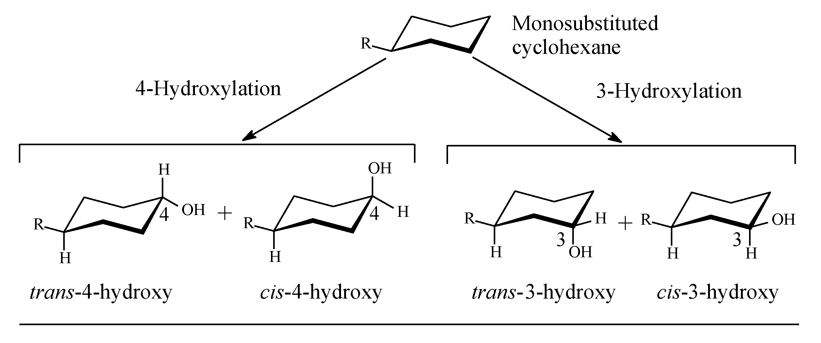 Molecules 25 01937 g001