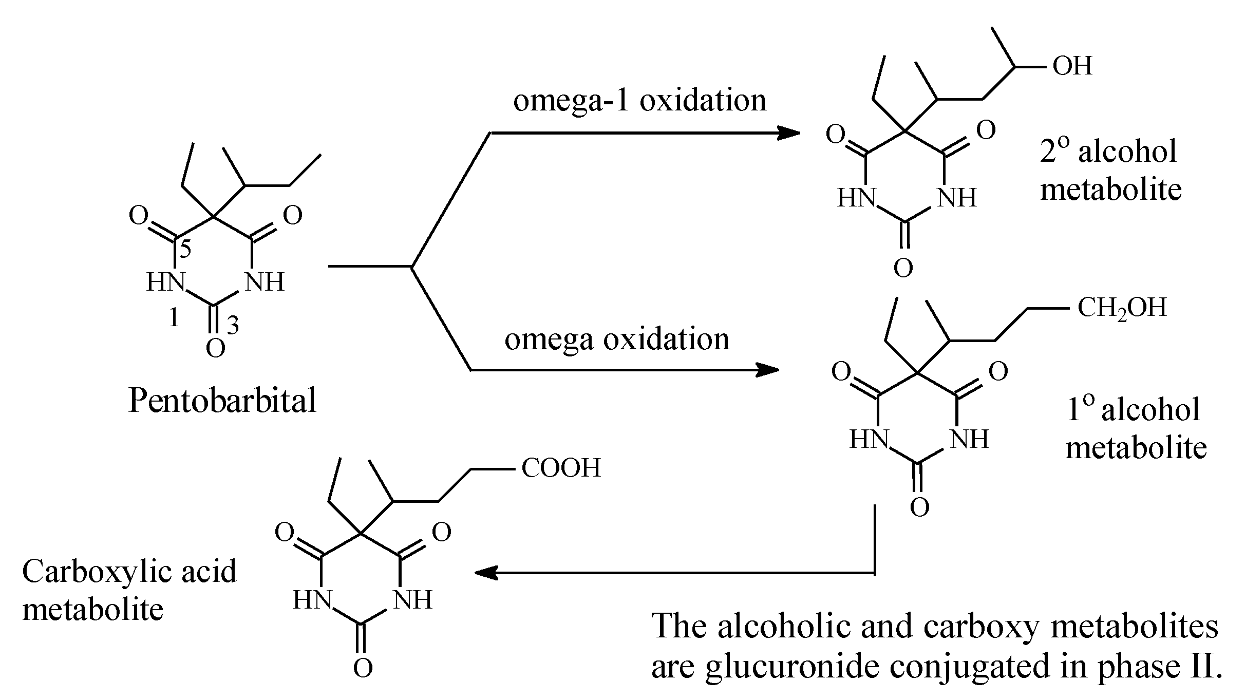 Molecules 25 01937 g015