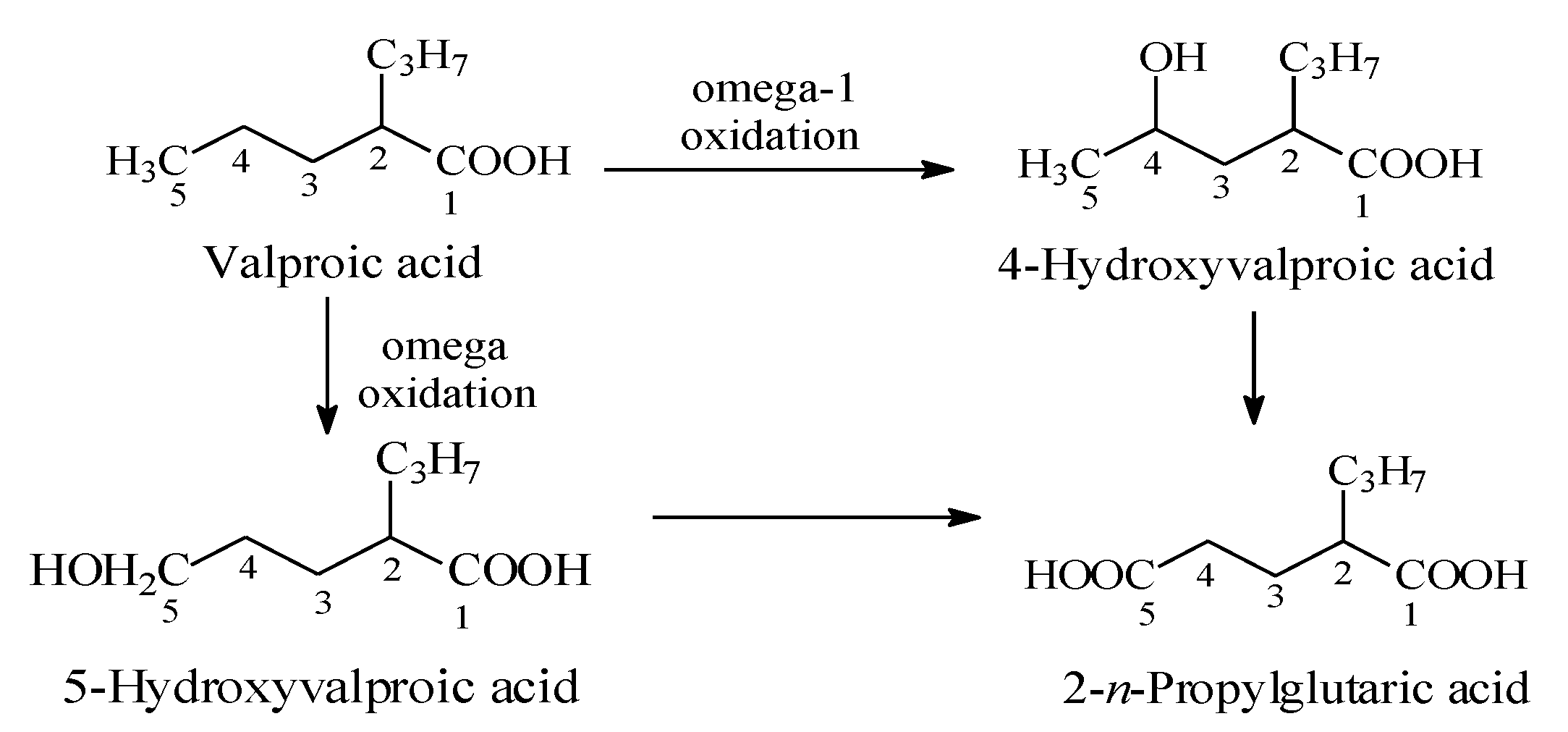 Molecules 25 01937 g016