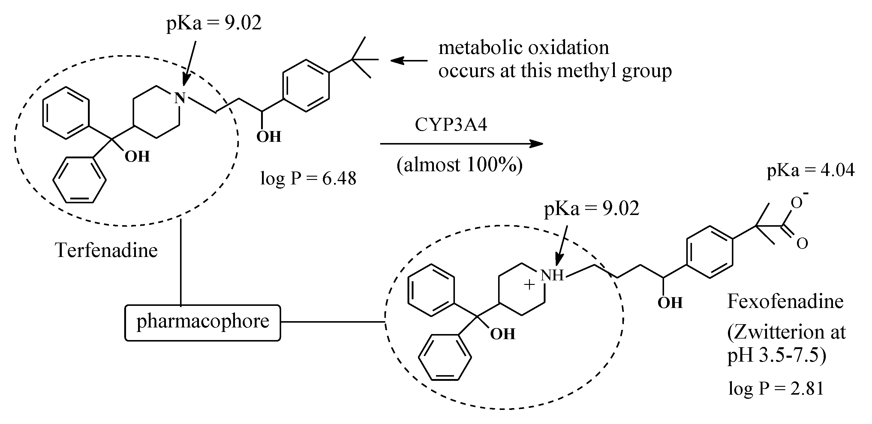 Molecules 25 01937 g022