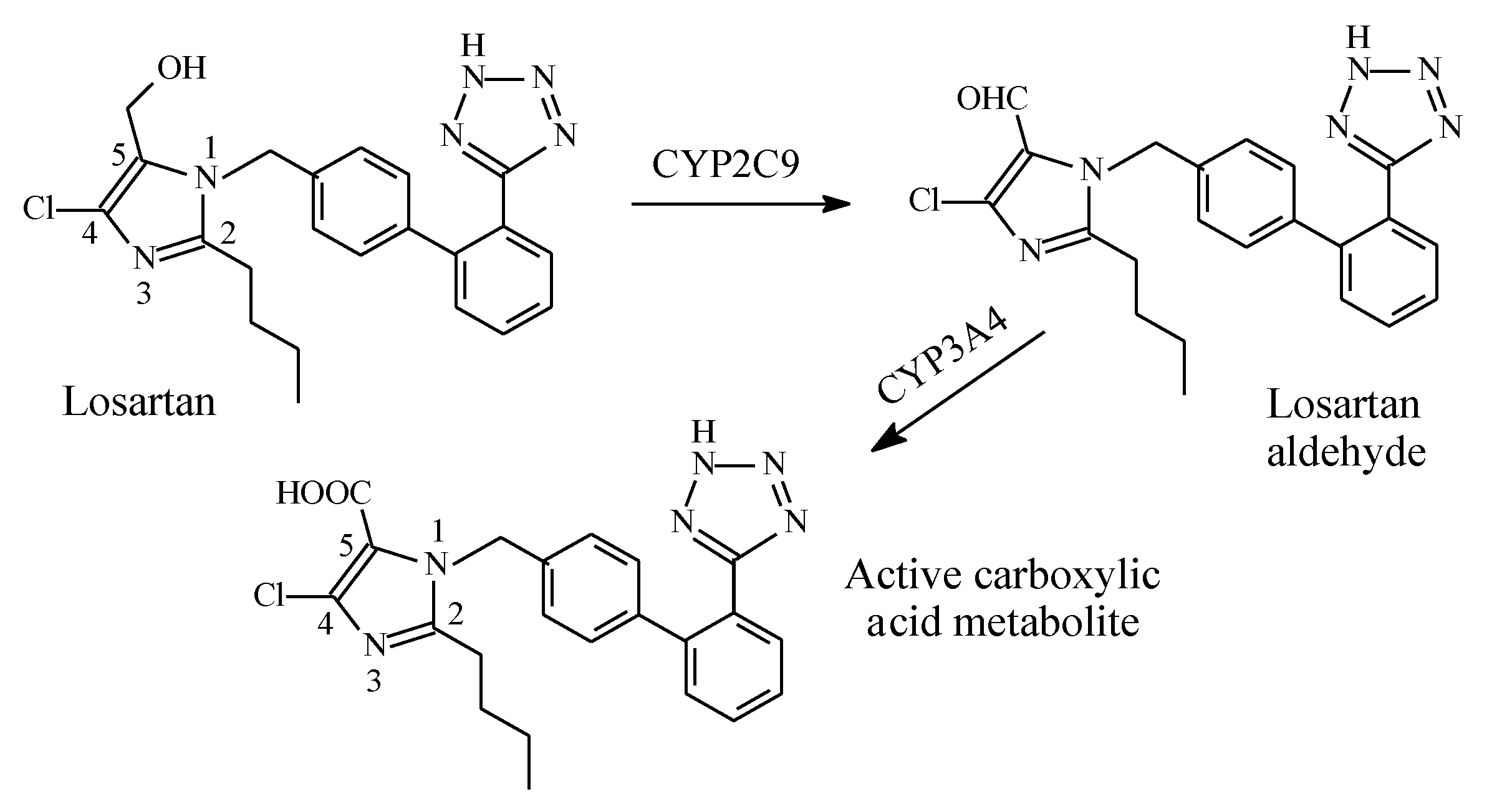 Molecules 25 01937 g026