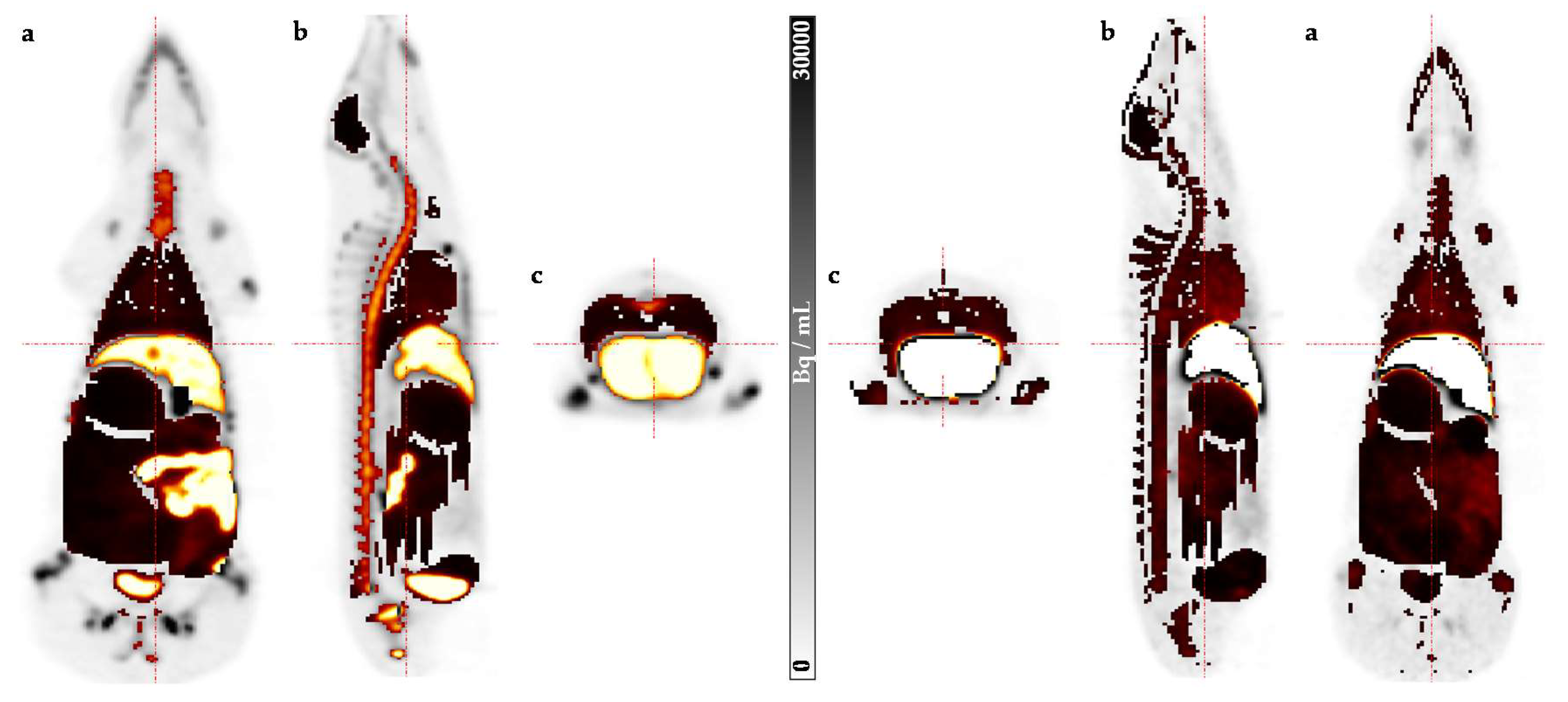Molecules 25 02024 g003