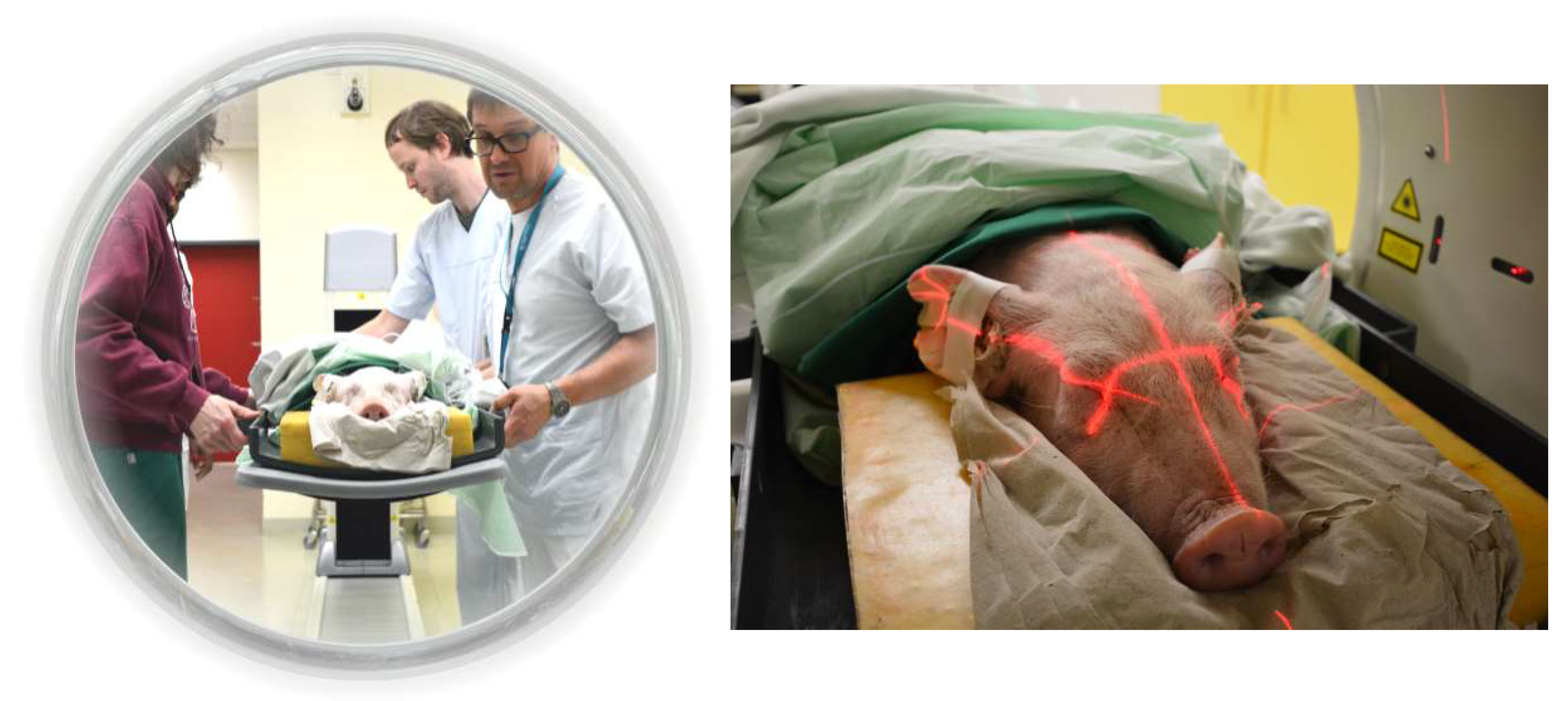 Molecules 25 02024 g005