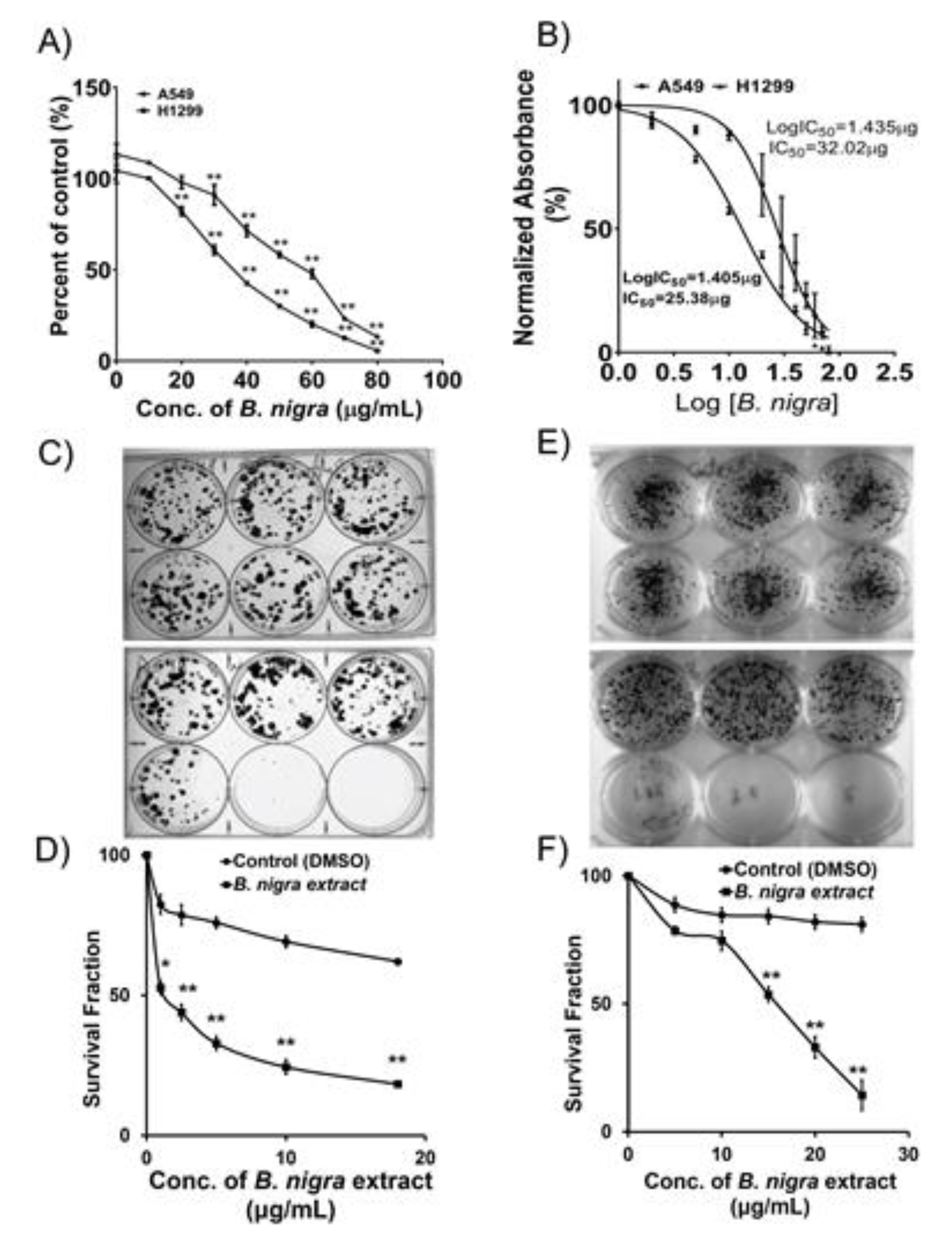 Molecules 25 02069 g001