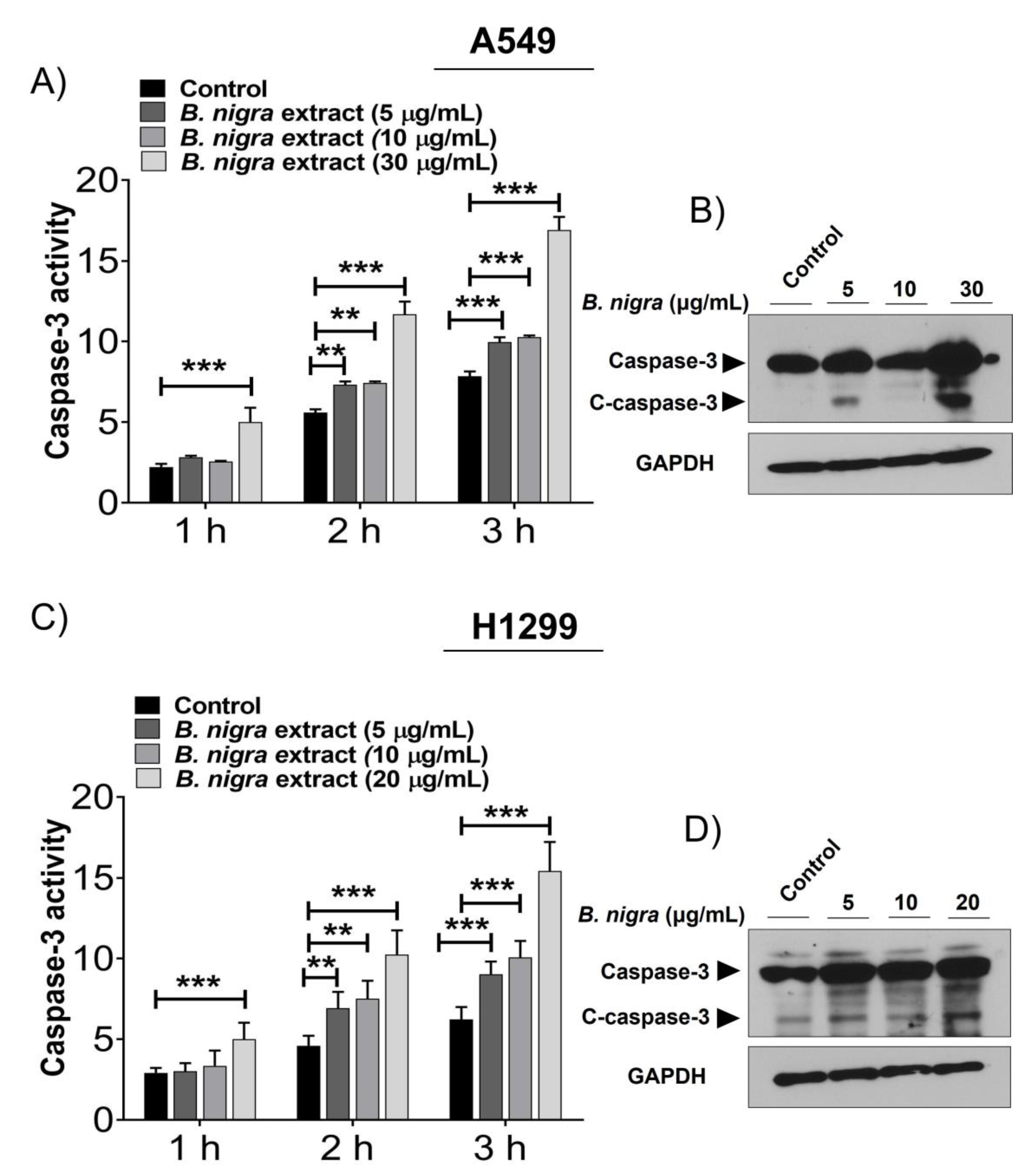 Molecules 25 02069 g002