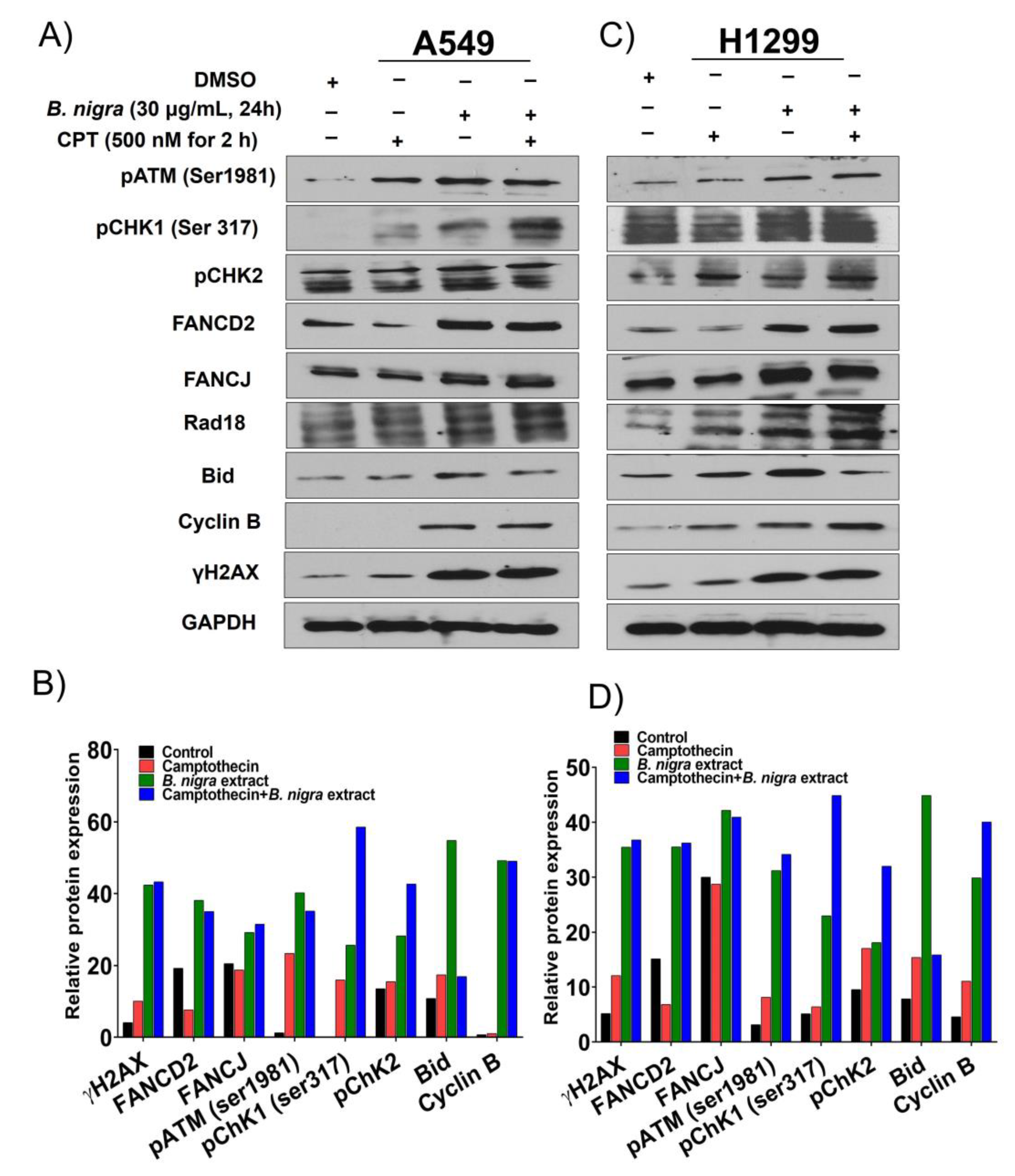 Molecules 25 02069 g003