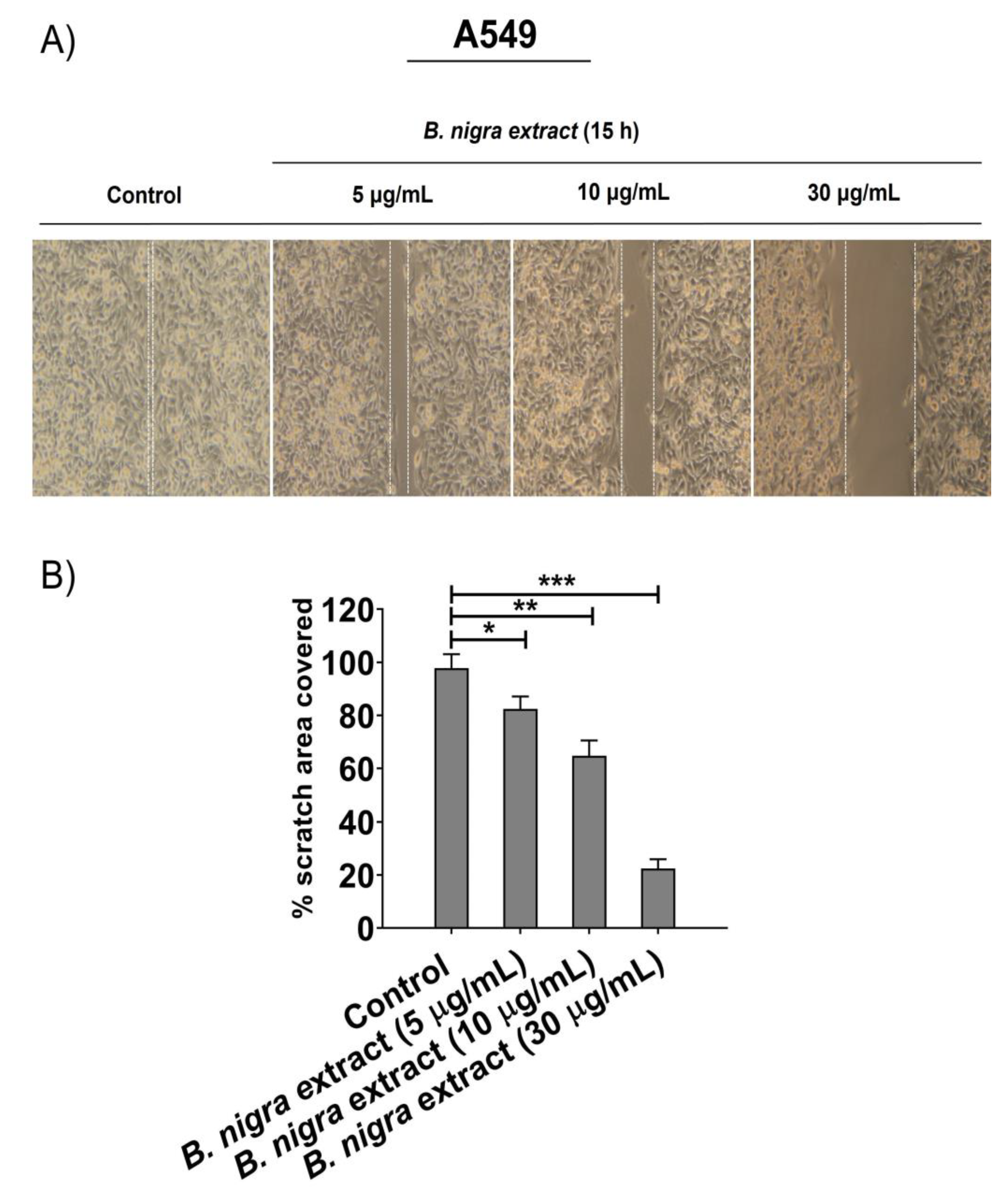 Molecules 25 02069 g005