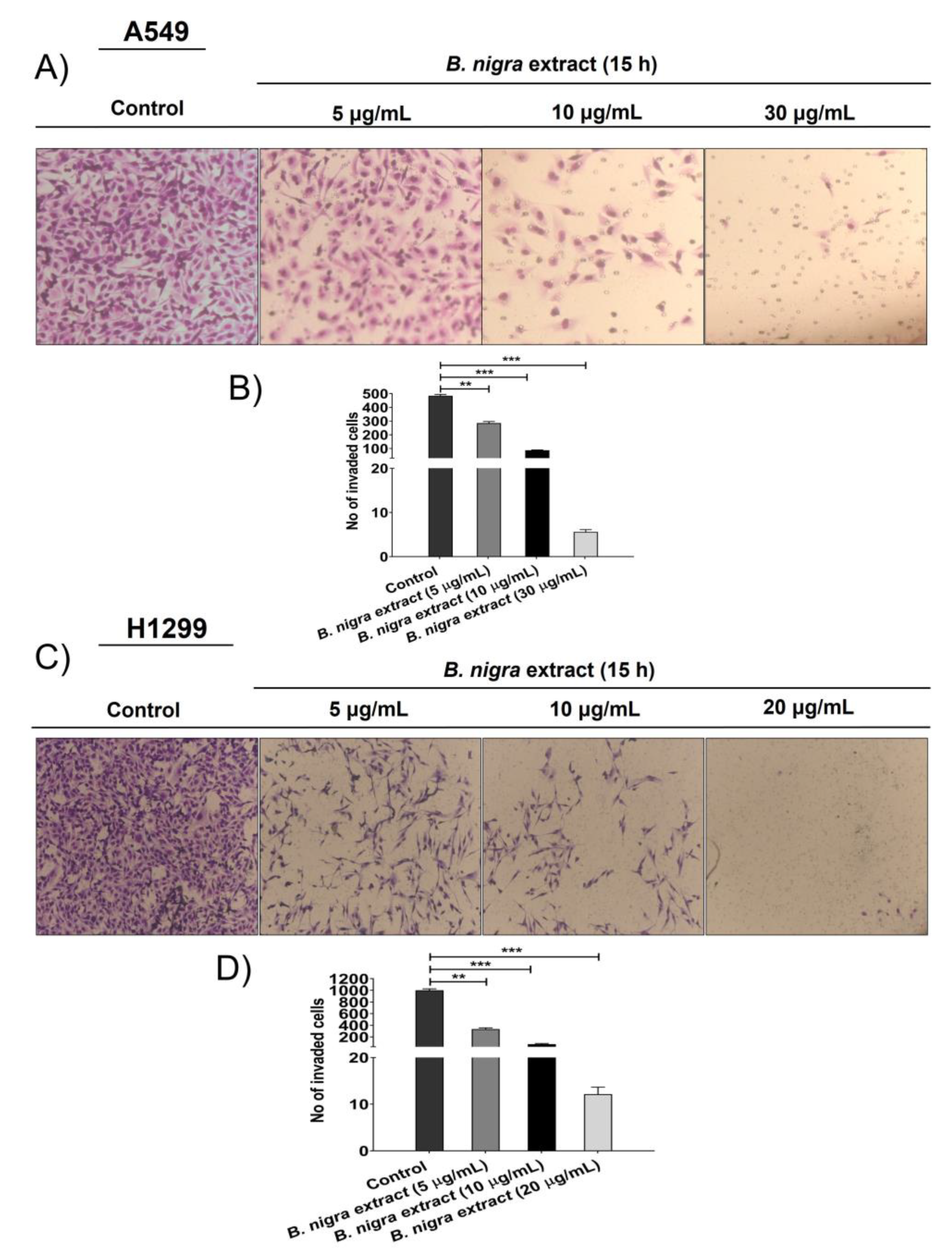 Molecules 25 02069 g006