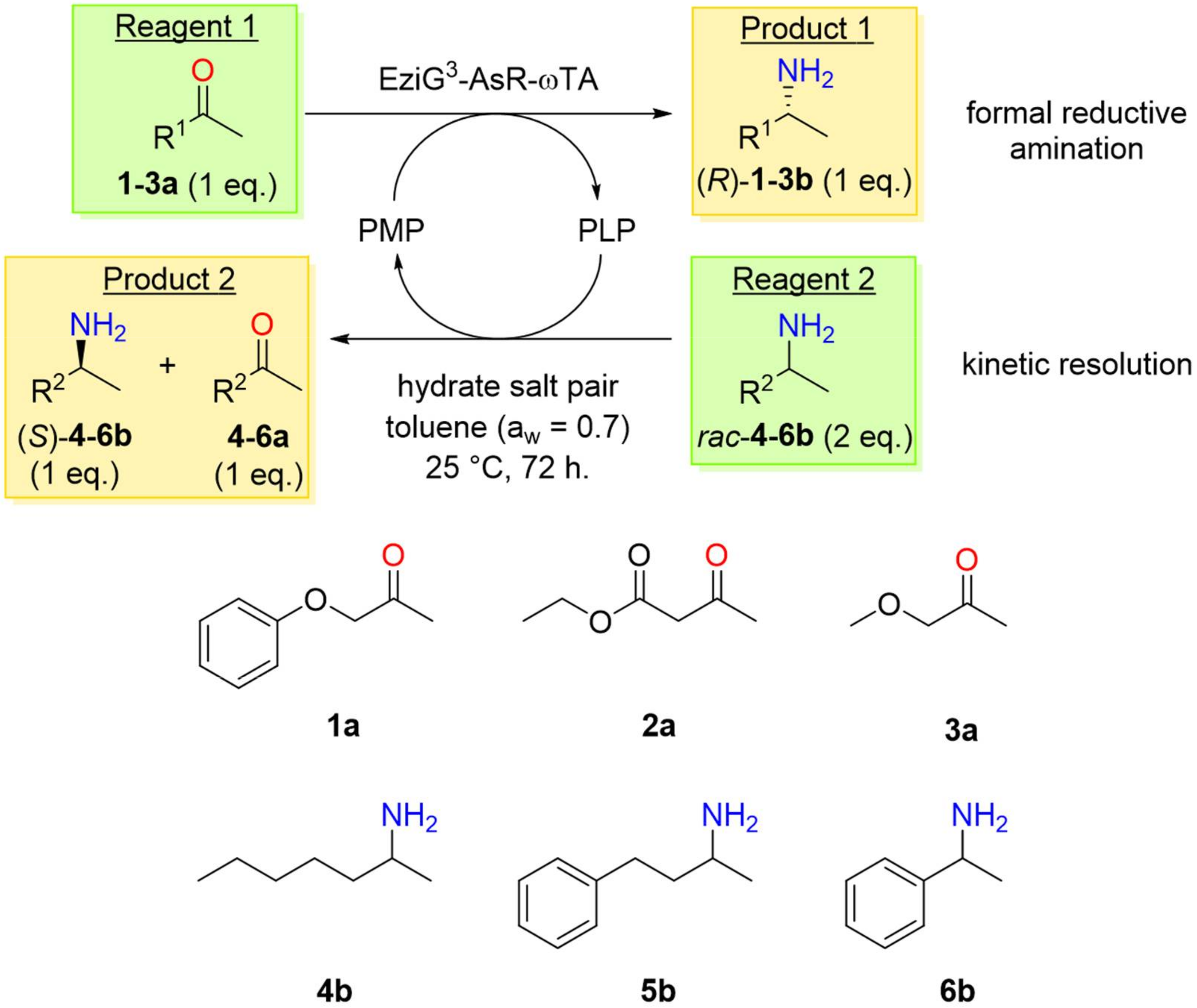 Molecules 25 02140 sch001