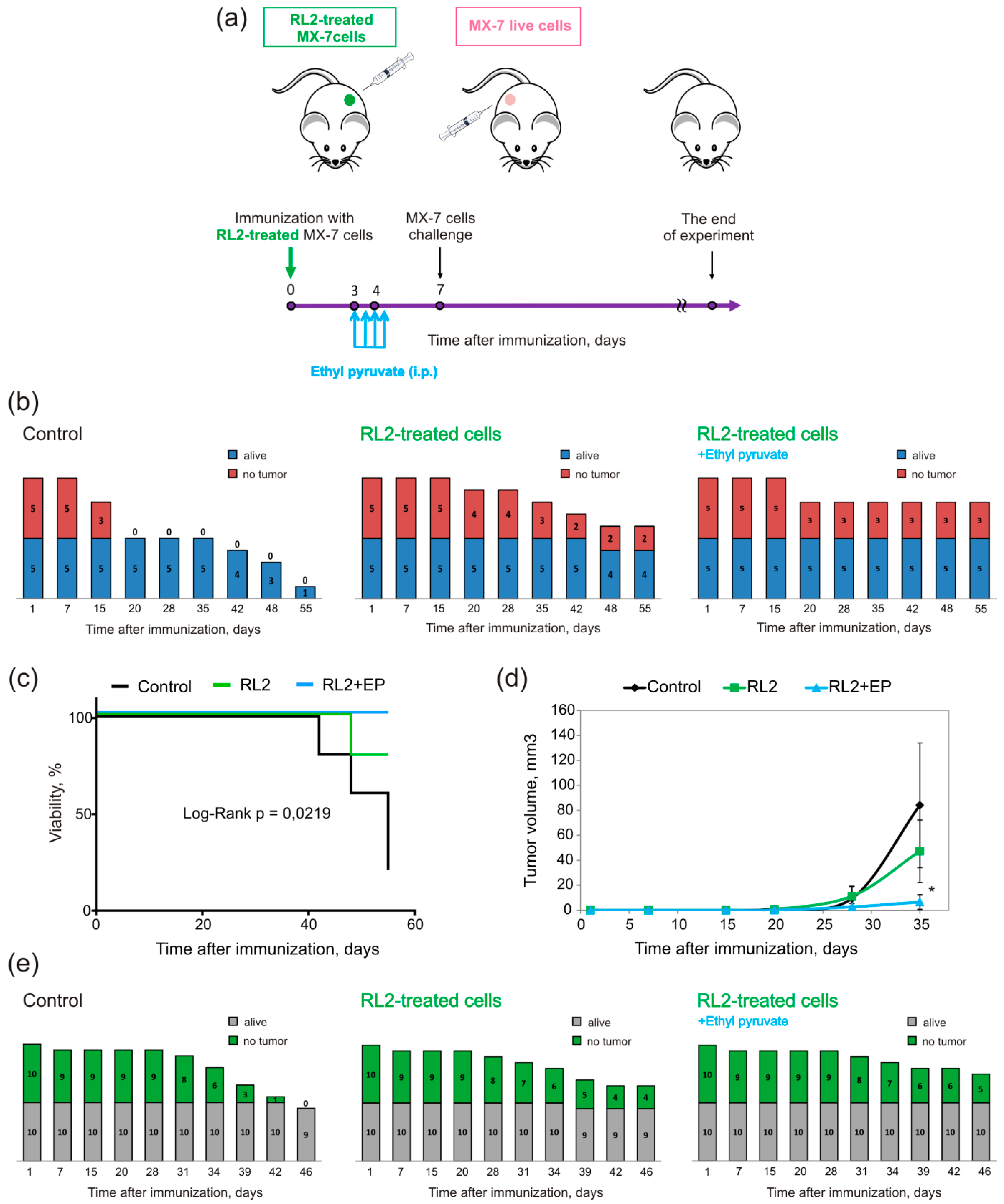 Molecules 25 02804 g005