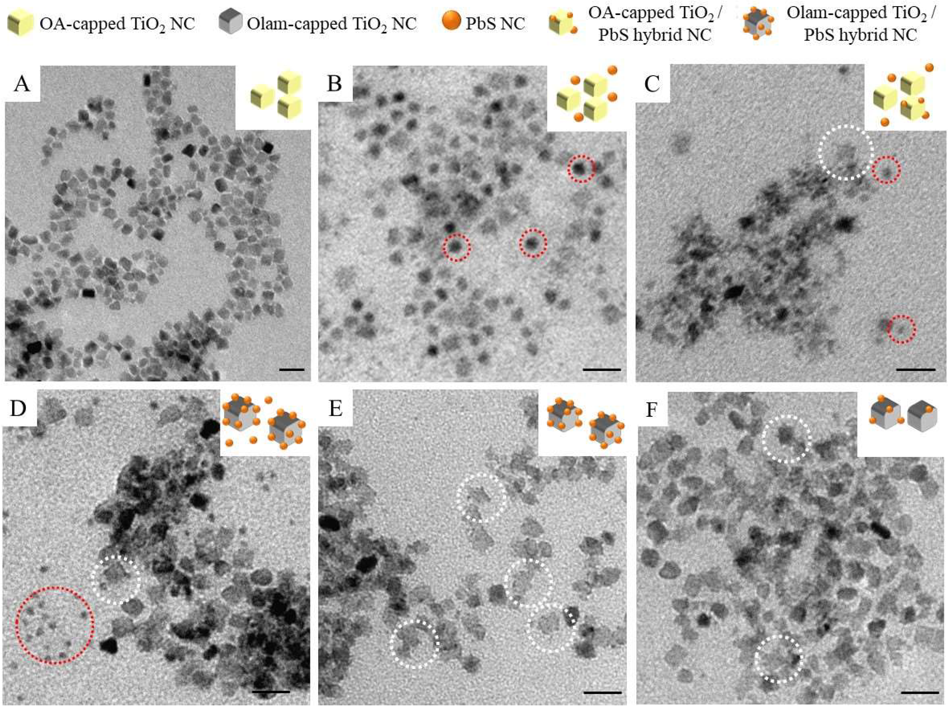 Molecules 25 02939 g002