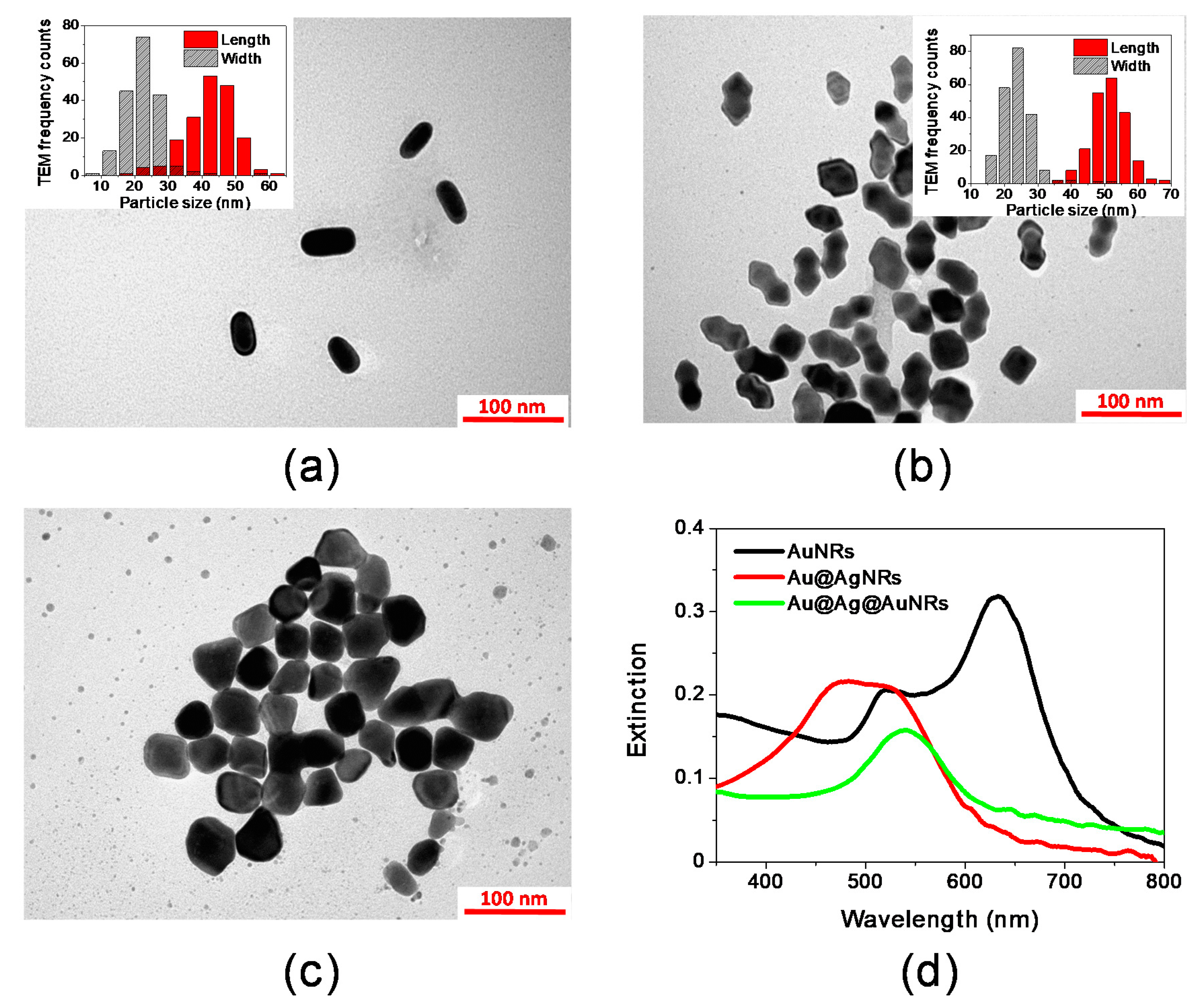 Molecules 25 03405 g001