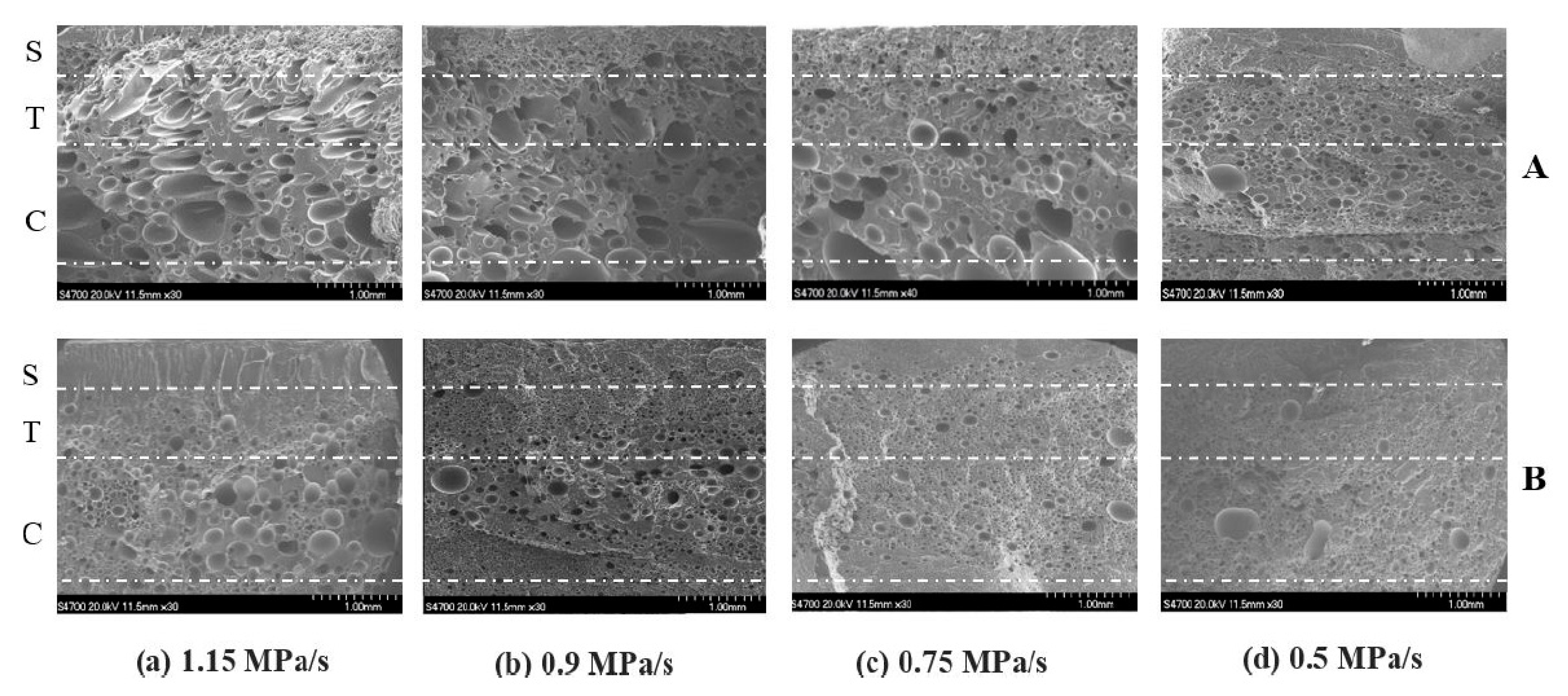 Molecules 25 03408 g019