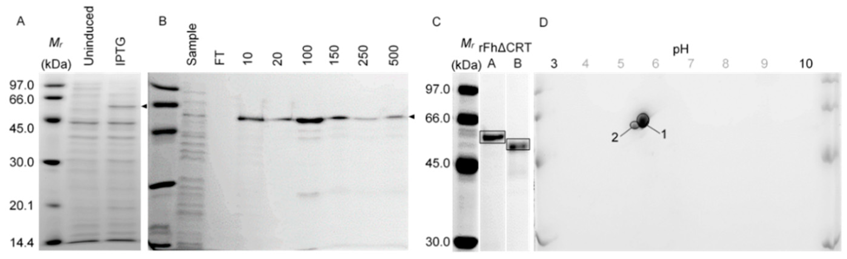 Molecules 25 03477 g001