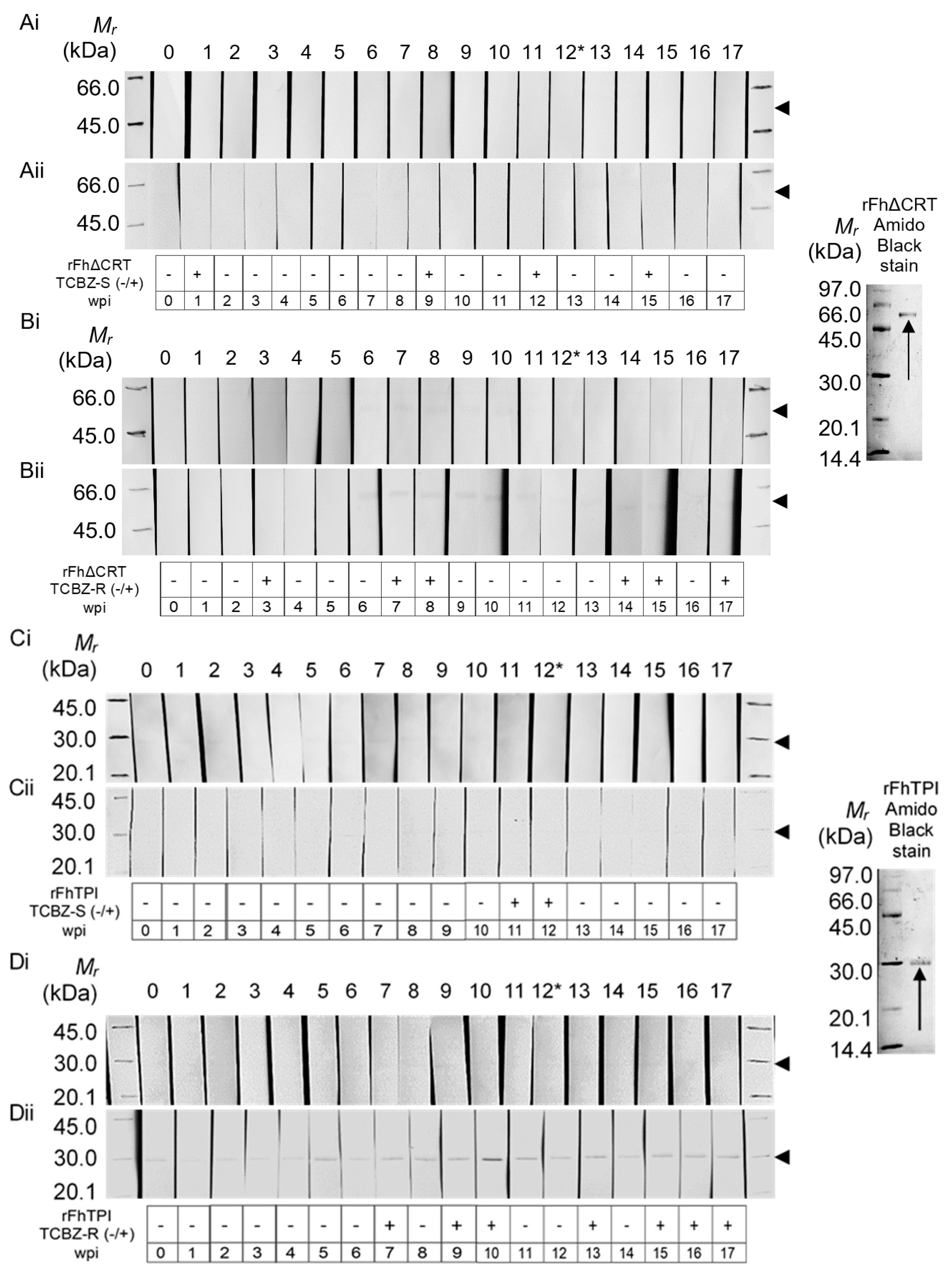 Molecules 25 03477 g003