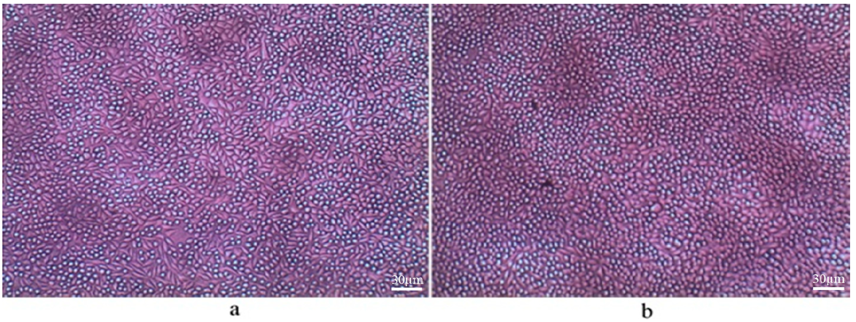 Molecules 25 03572 g002