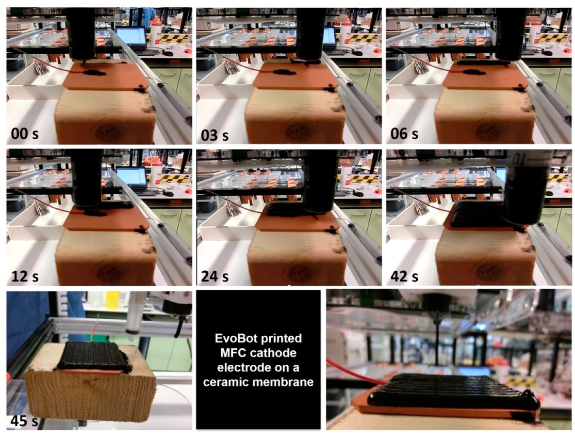 Molecules 25 03635 g005