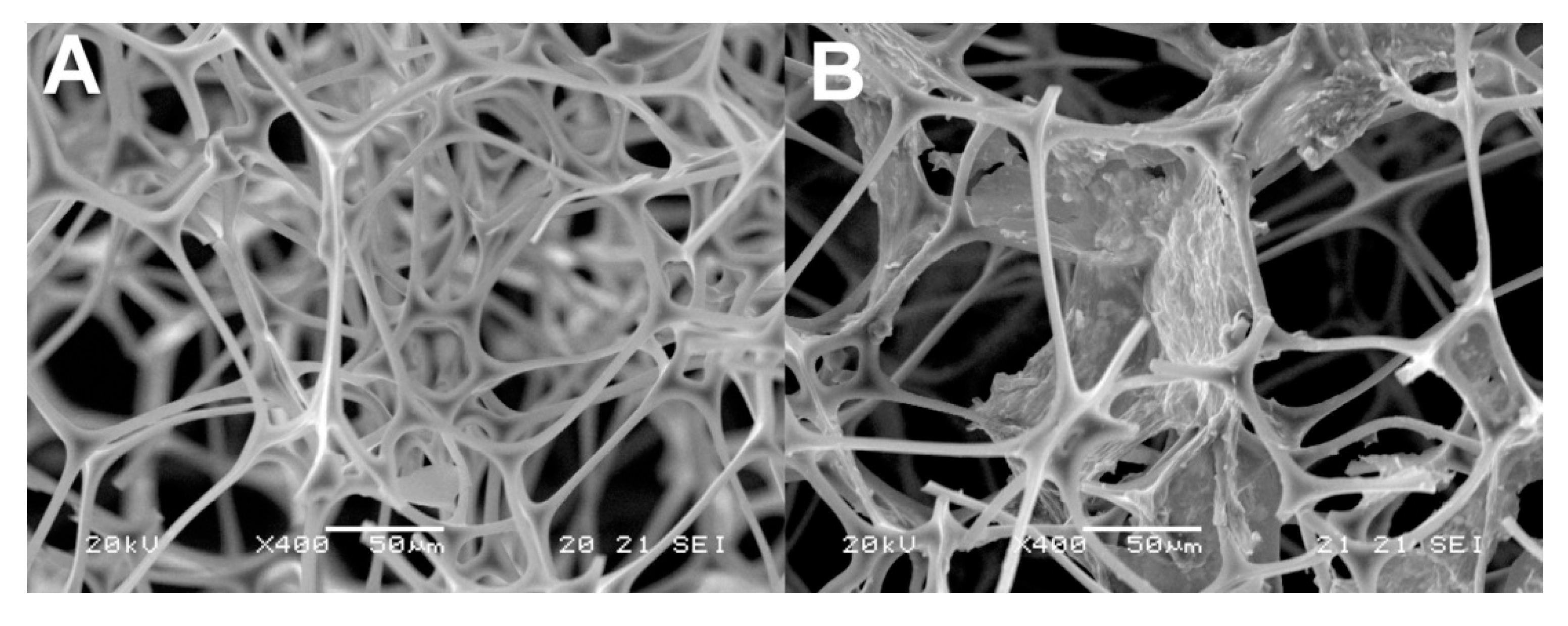 Molecules 25 03673 g004