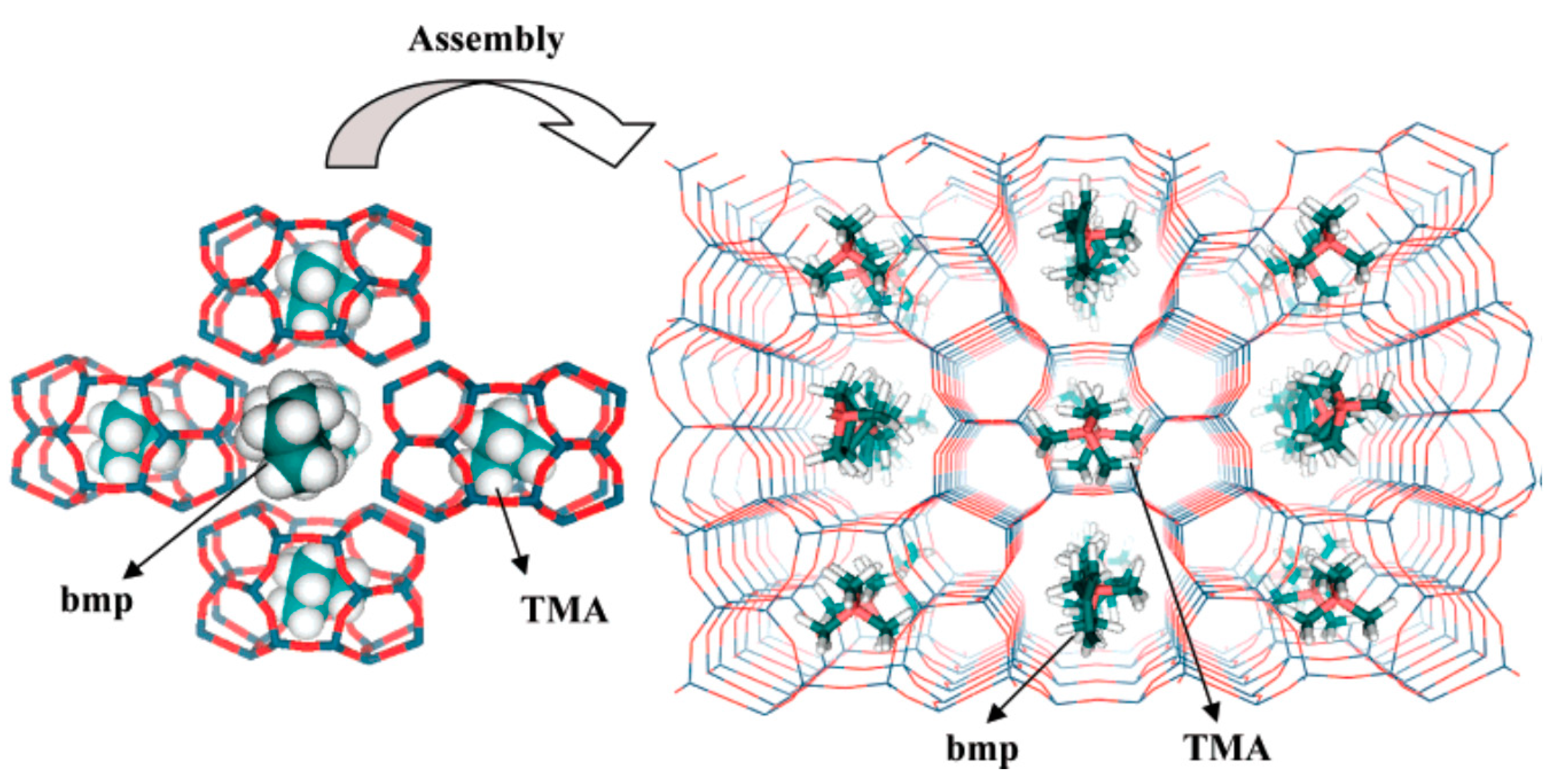 Molecules 25 03722 g002