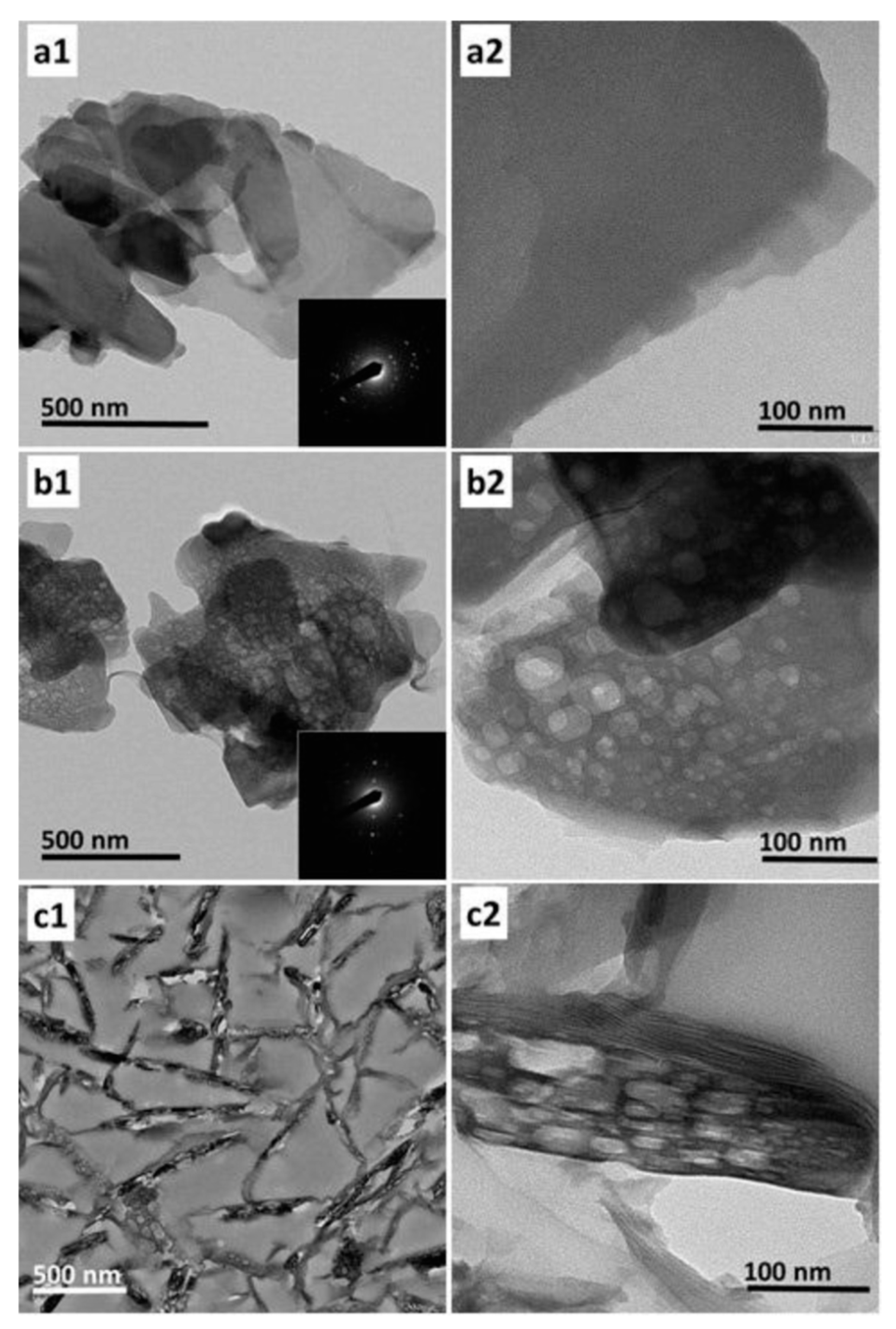 Molecules 25 03722 g006