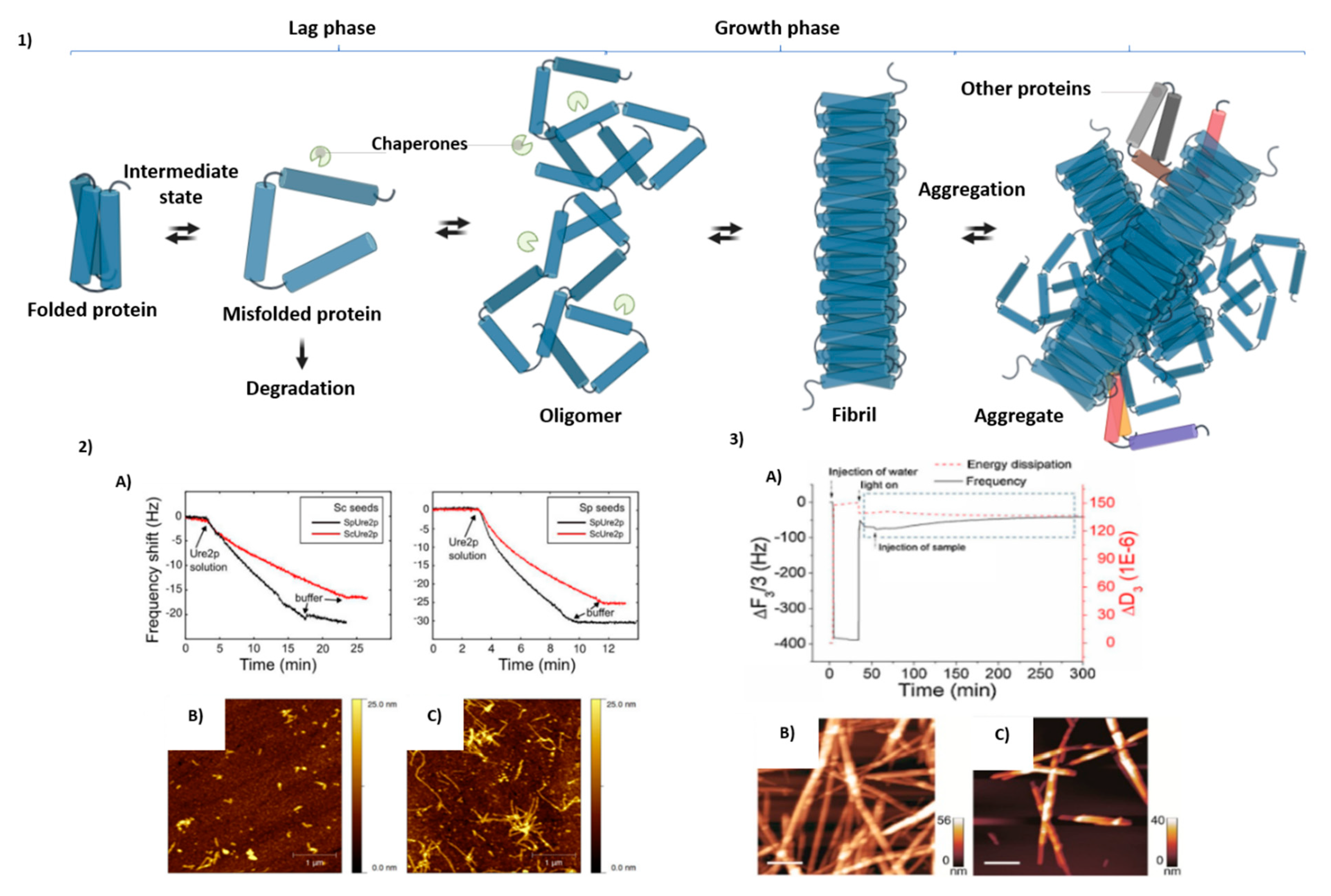 Molecules 25 03950 g003