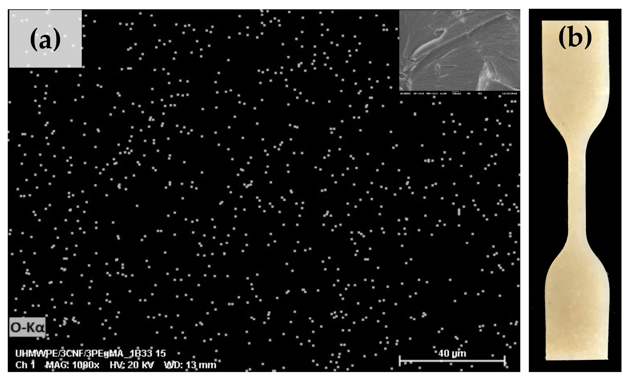 Molecules 25 04498 g008