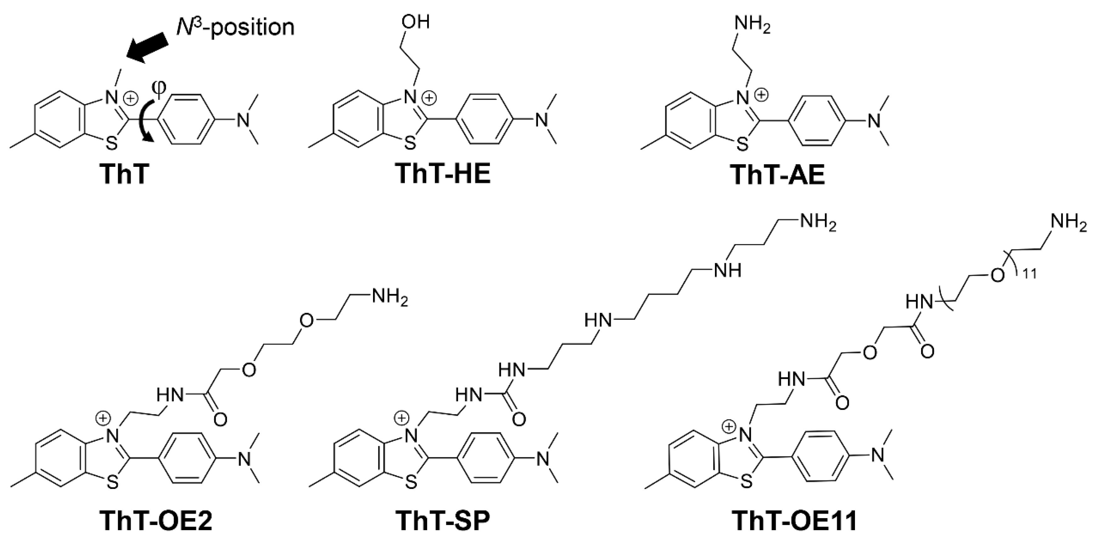 Molecules 25 04936 g002