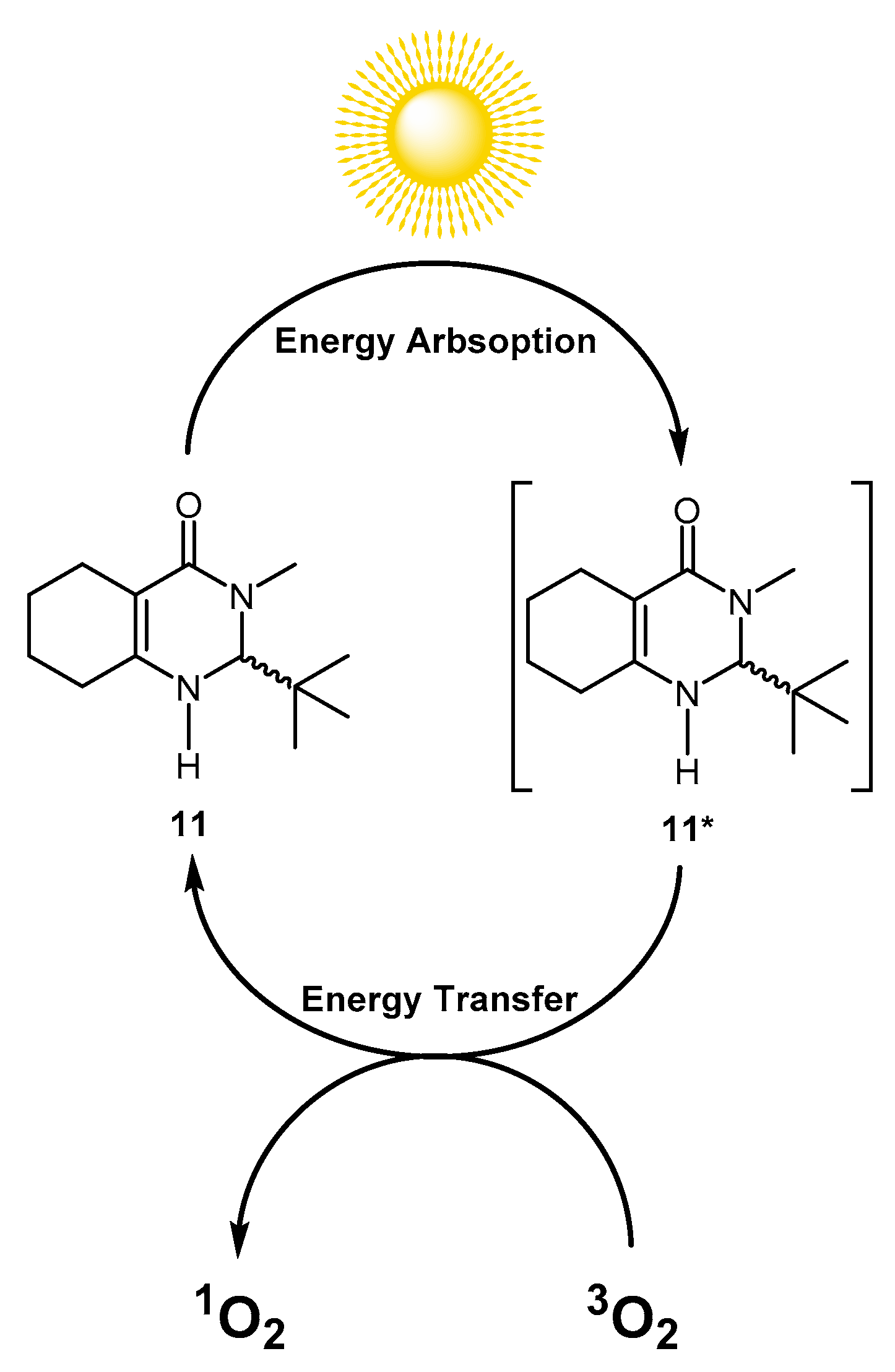 Molecules 25 05008 g007