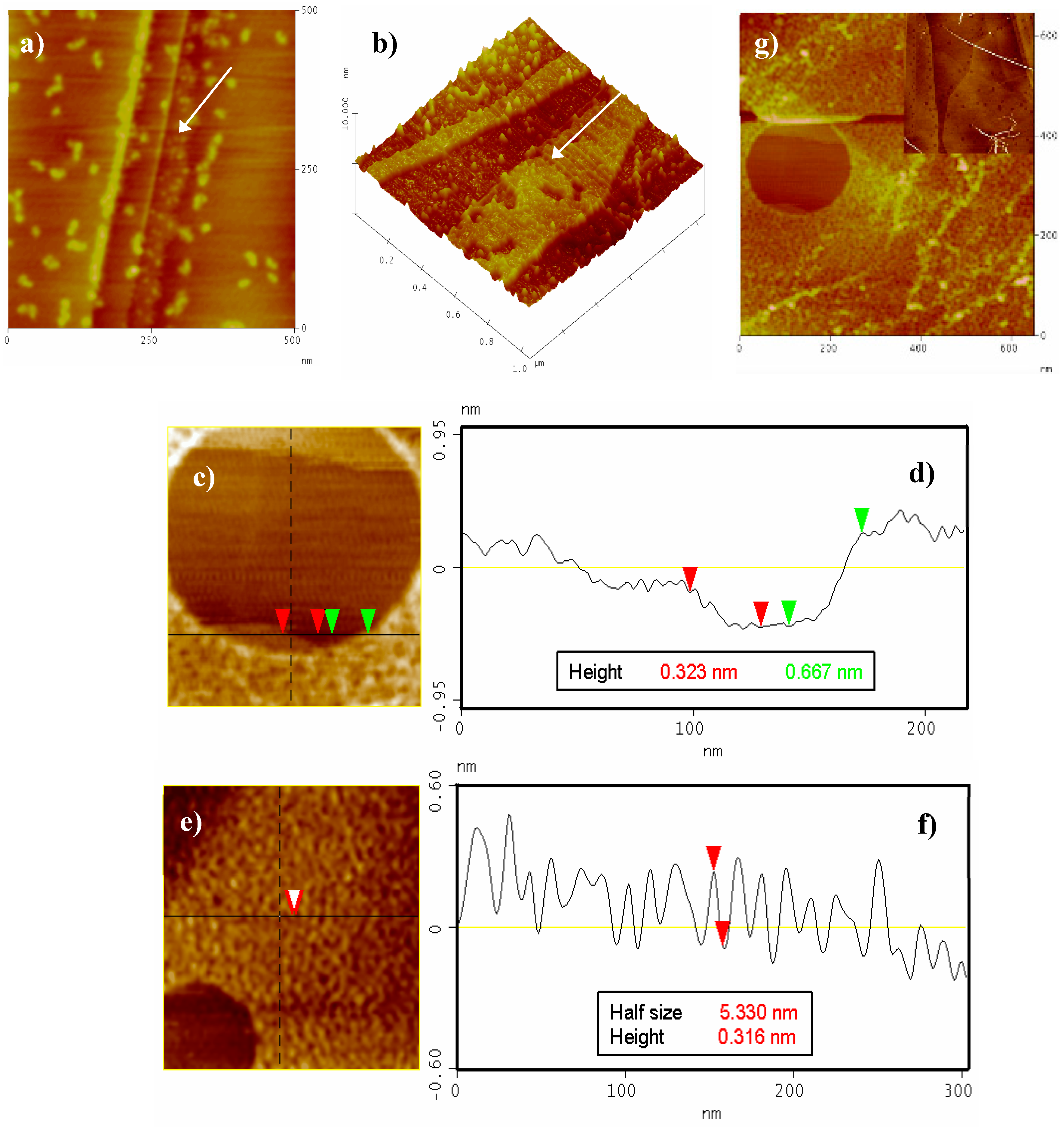 Molecules 25 05038 g009