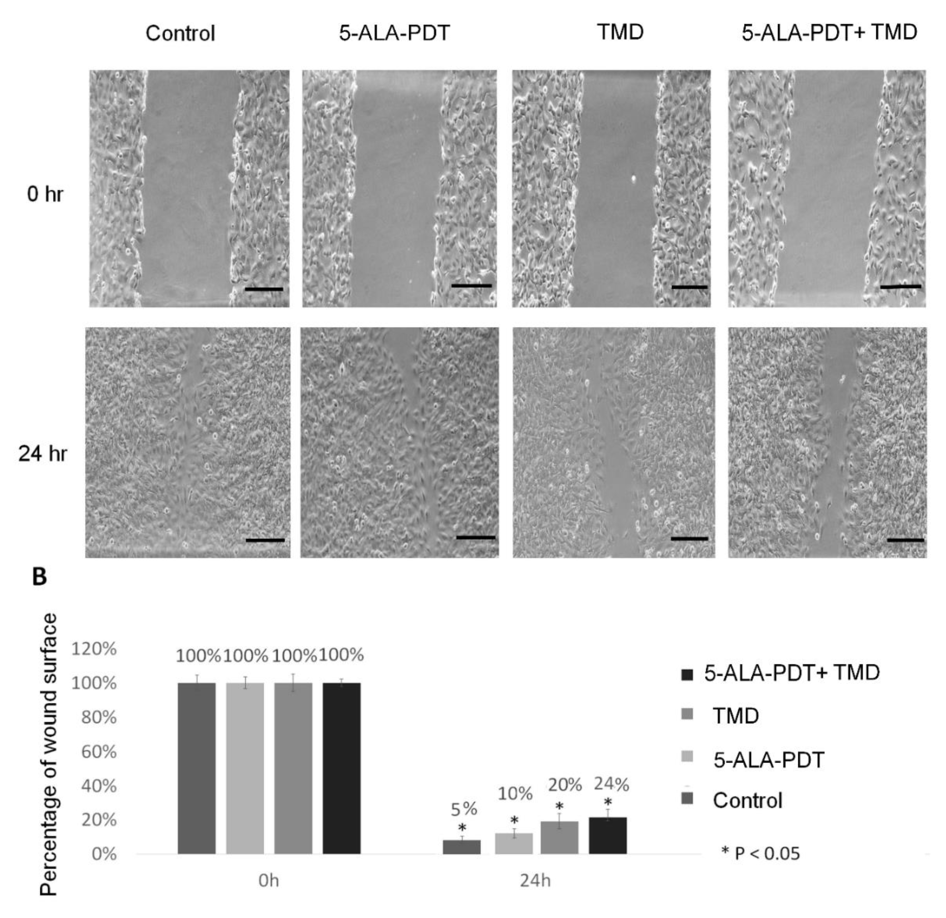 Molecules 25 05184 g003 Molecules 25 05184 g003