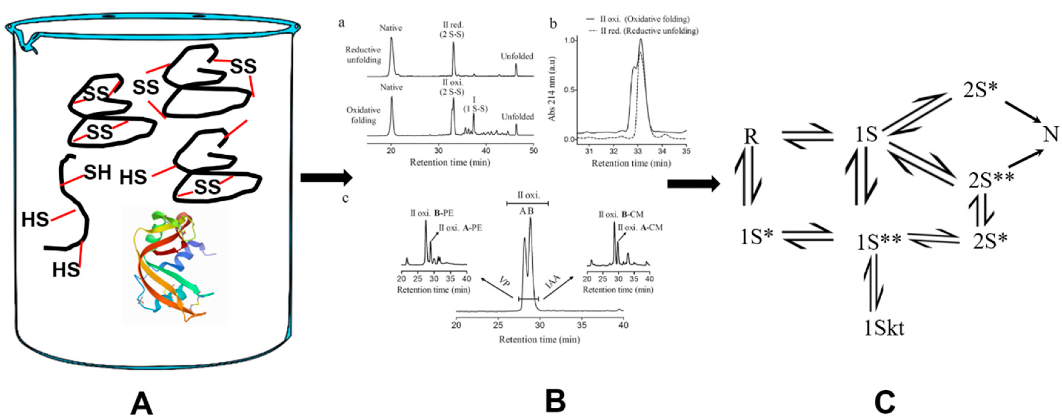 Molecules 25 05337 sch002