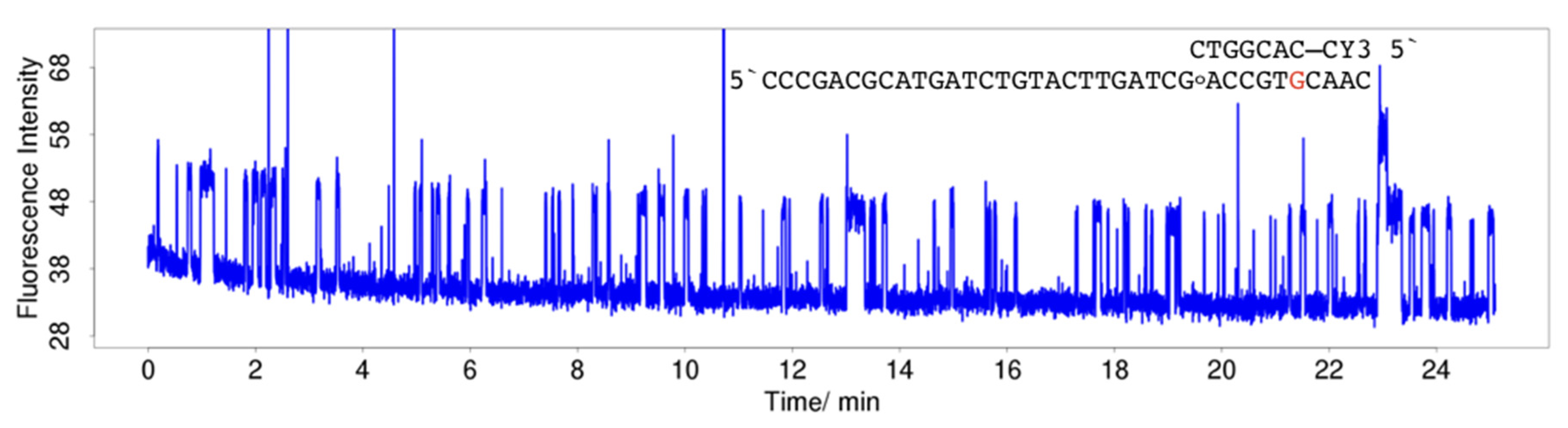 Molecules 25 05369 g007