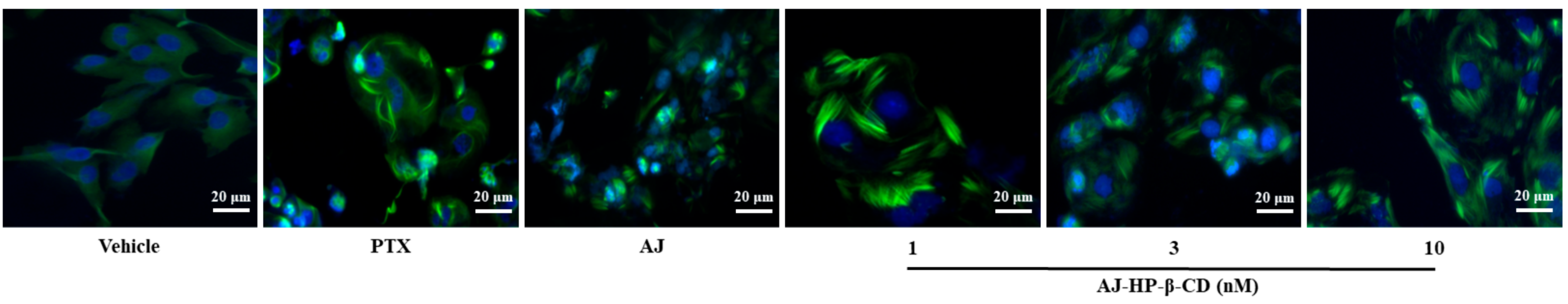 Molecules 25 05586 g004