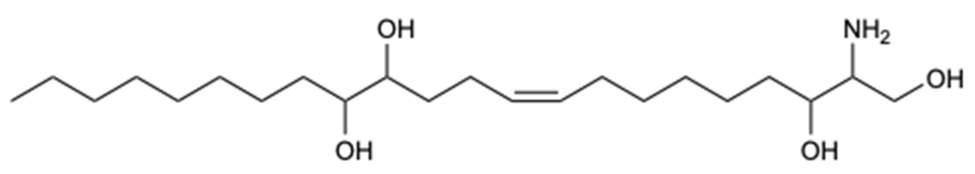 Molecules 25 05856 g010