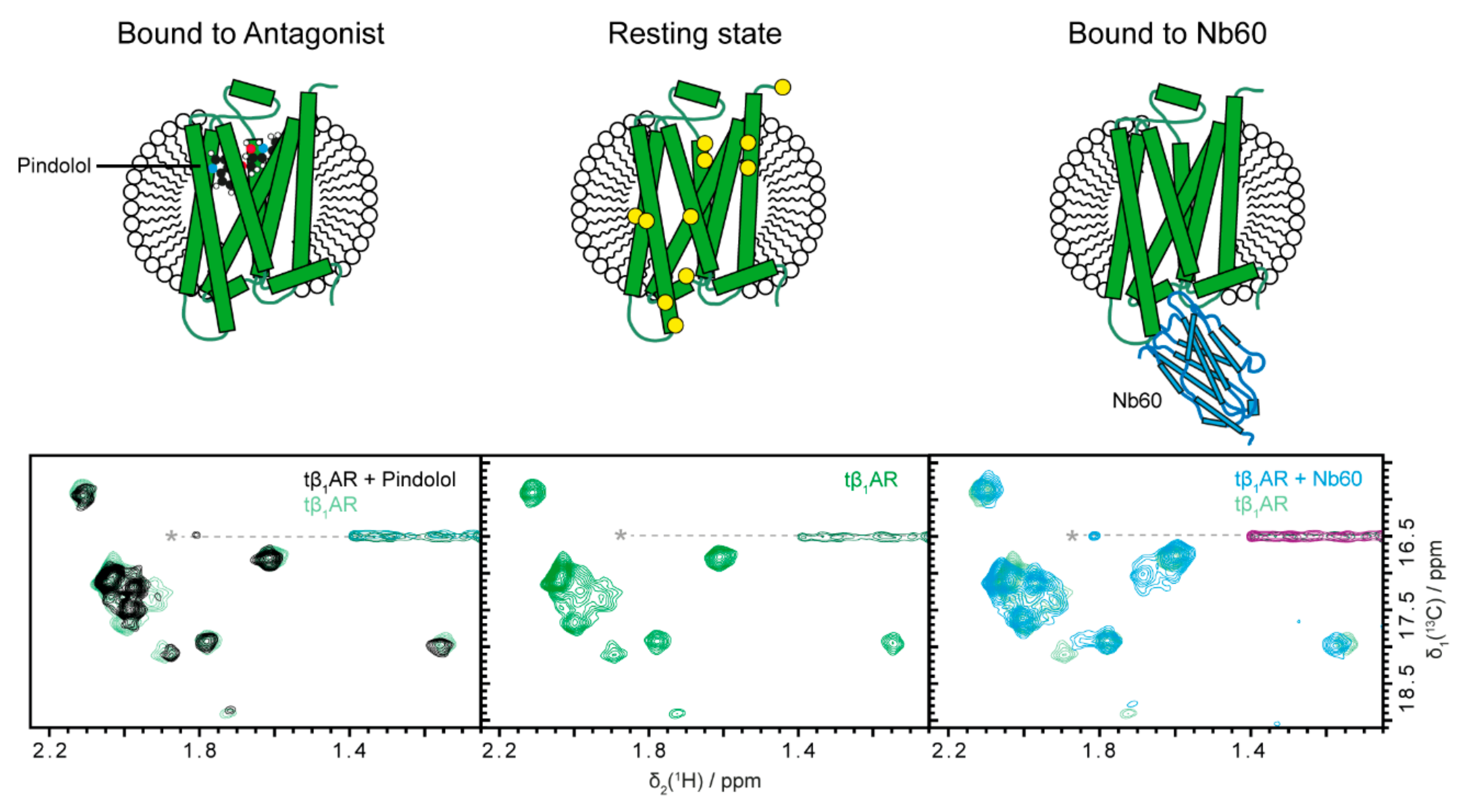 Molecules 25 05984 g002