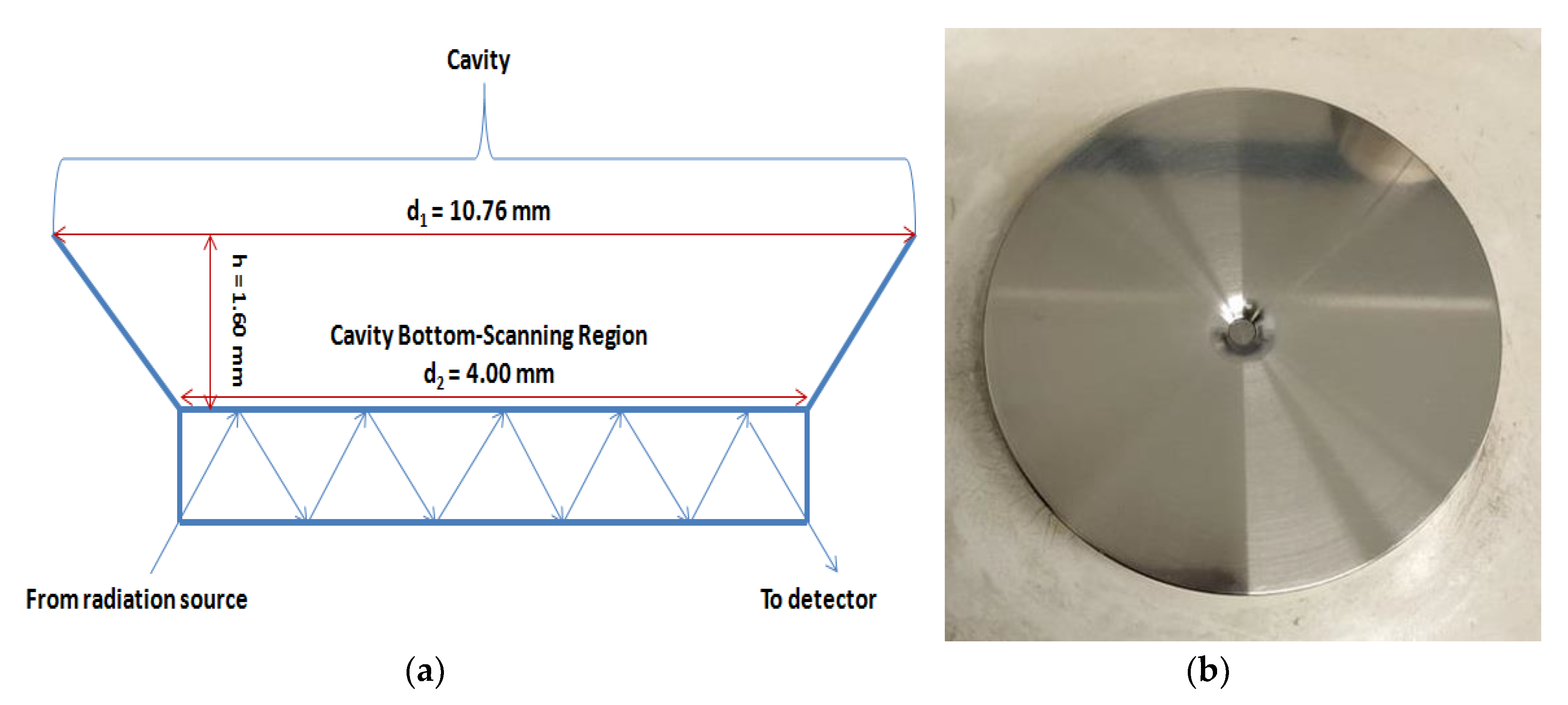 Molecules 25 06051 g006 Molecules 25 06051 g006