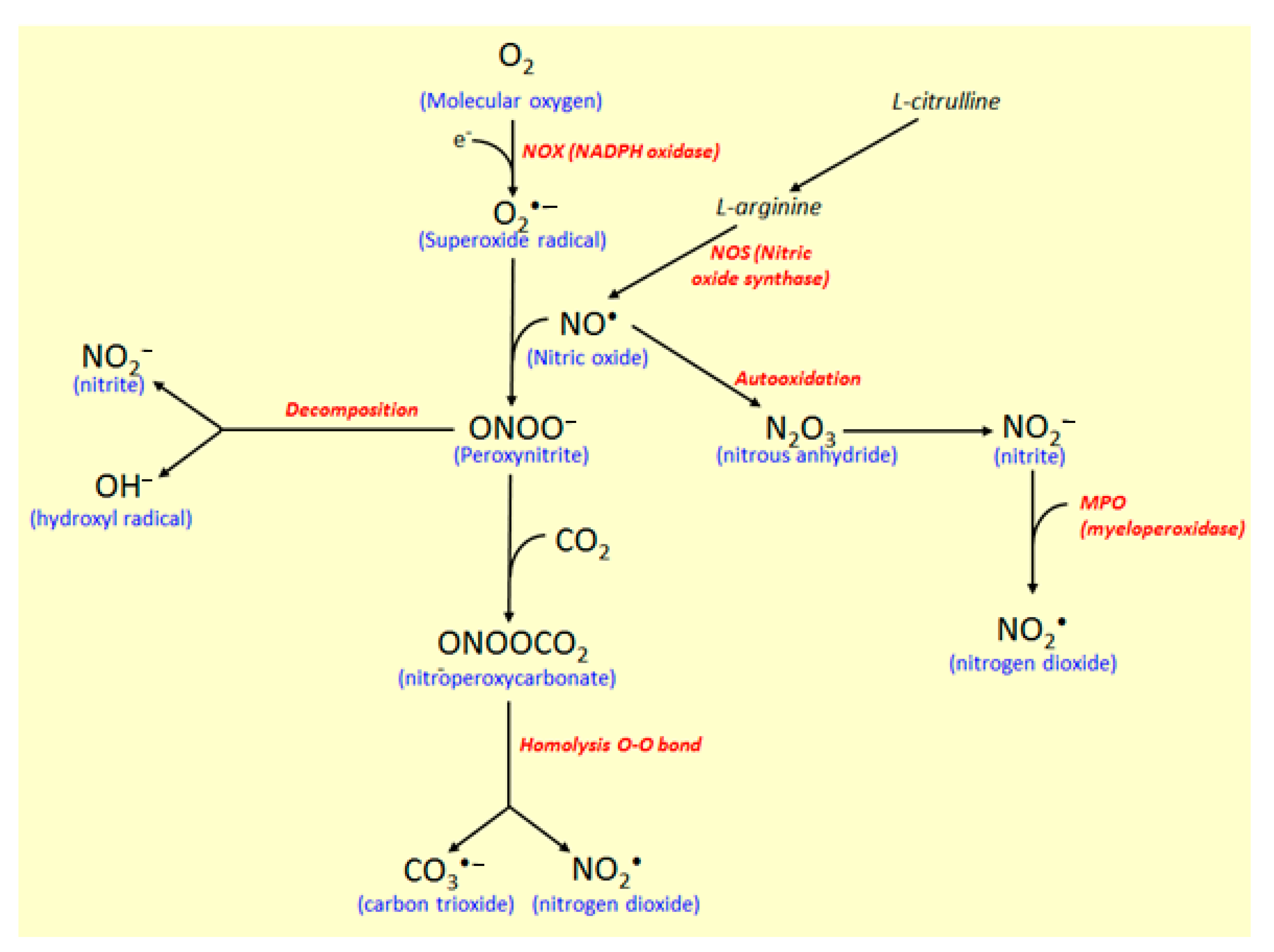 Molecules 26 00422 g006 Molecules 26 00422 g006