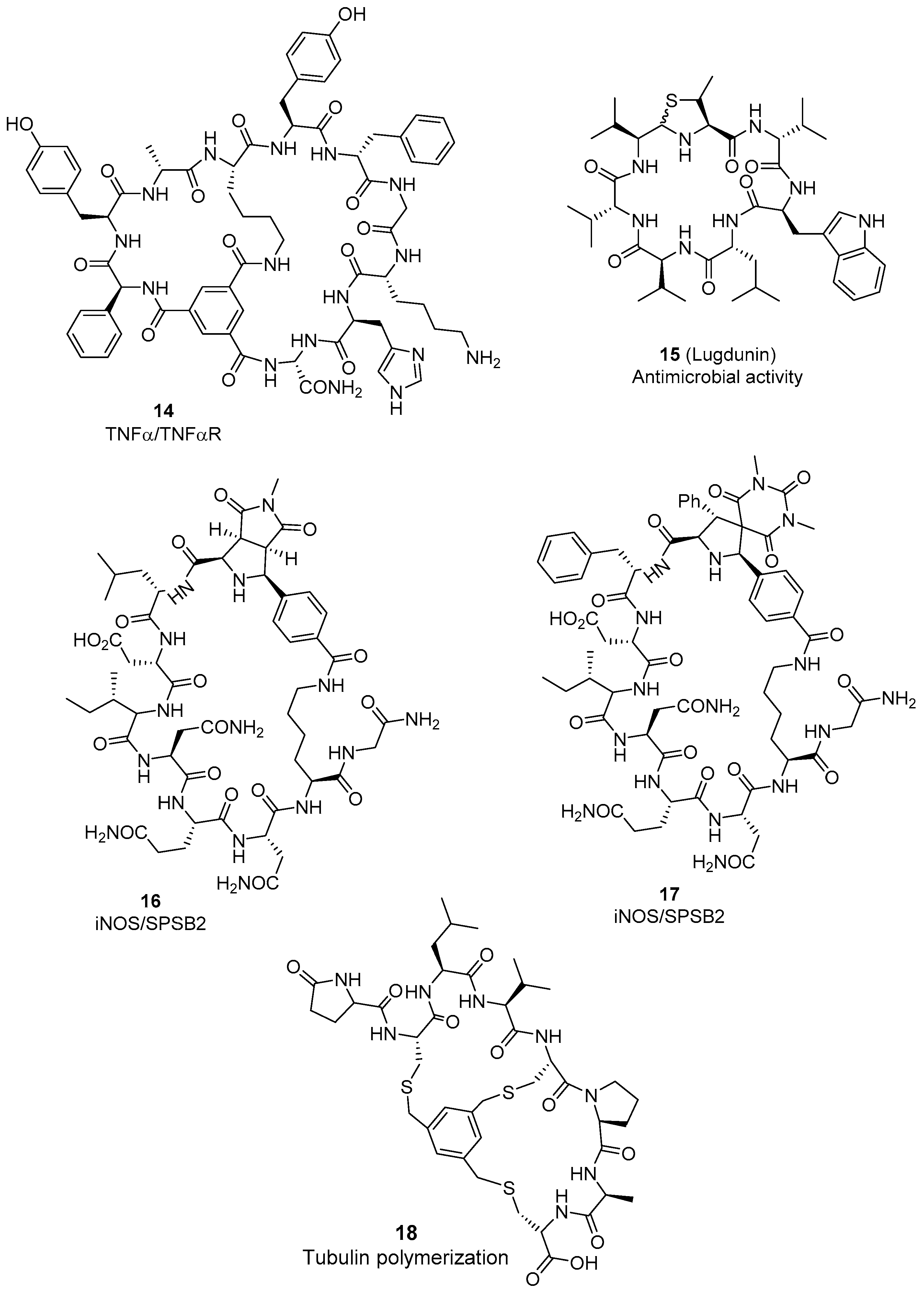 Molecules 26 00445 g004 Molecules 26 00445 g004
